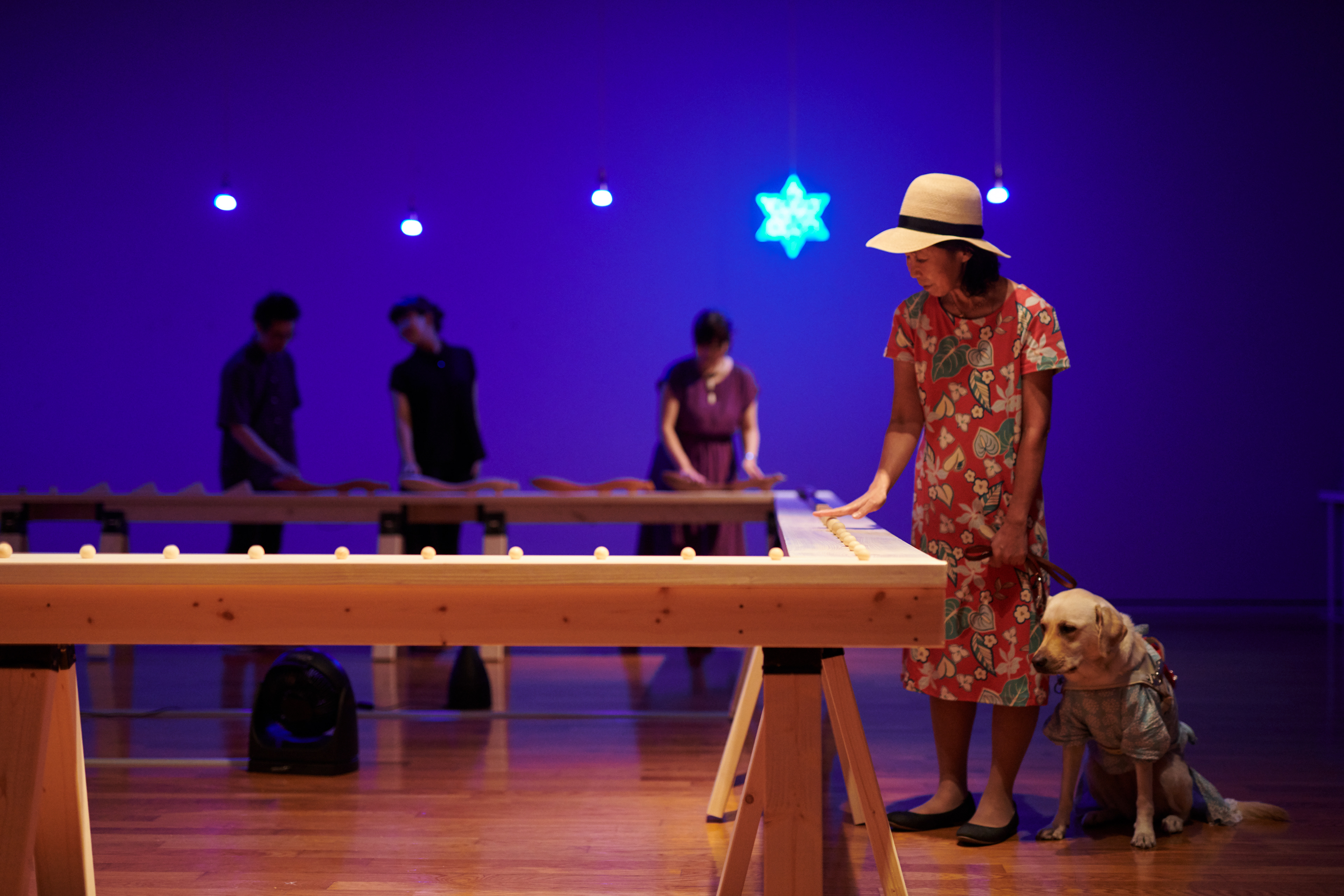 茅ヶ崎市美術館　『美術館まで（から）つづく道』