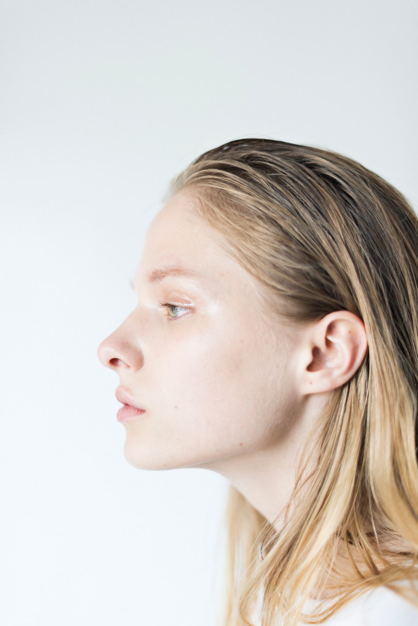 MARECHAL TERRE | マルシャル・テル