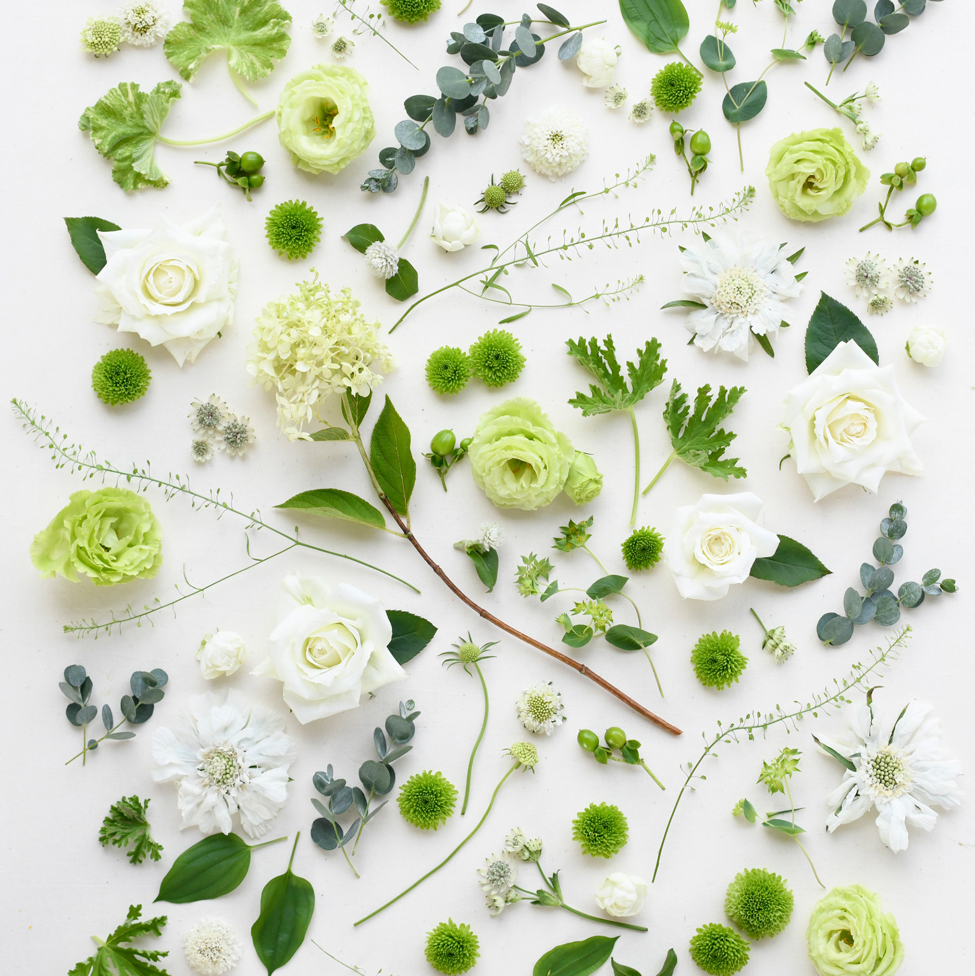 hanacupid　psycheブランド別イメージカット