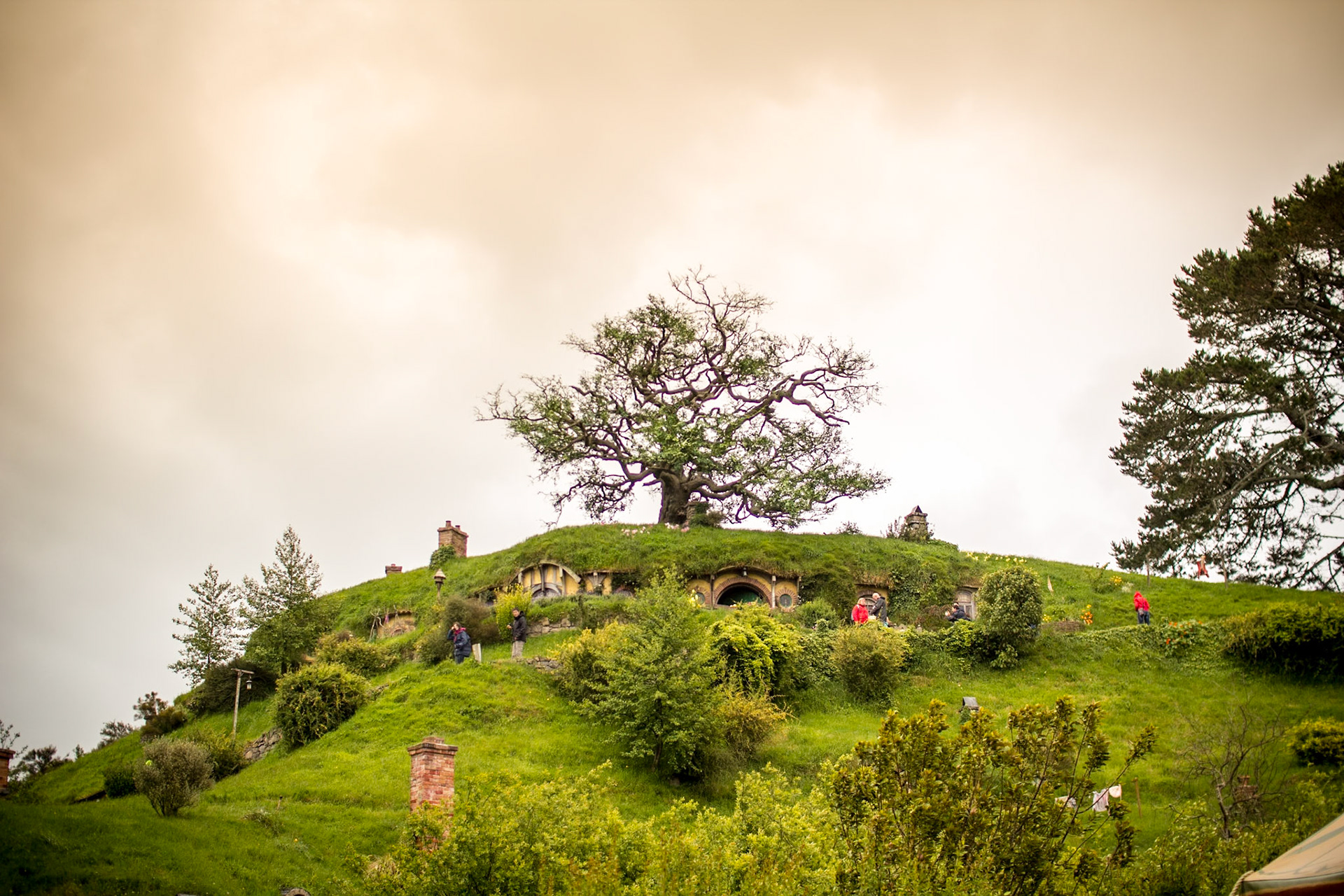 The tree over Bagend