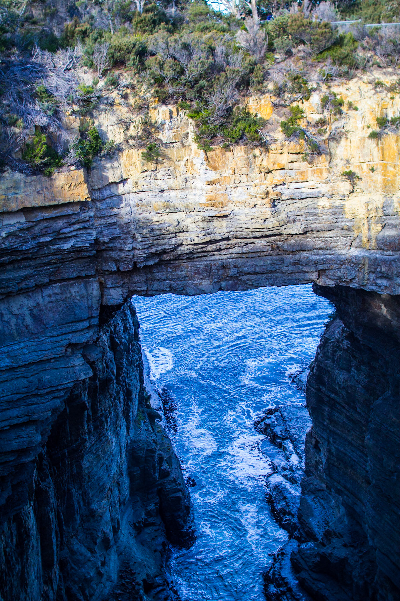 Tasman Arch