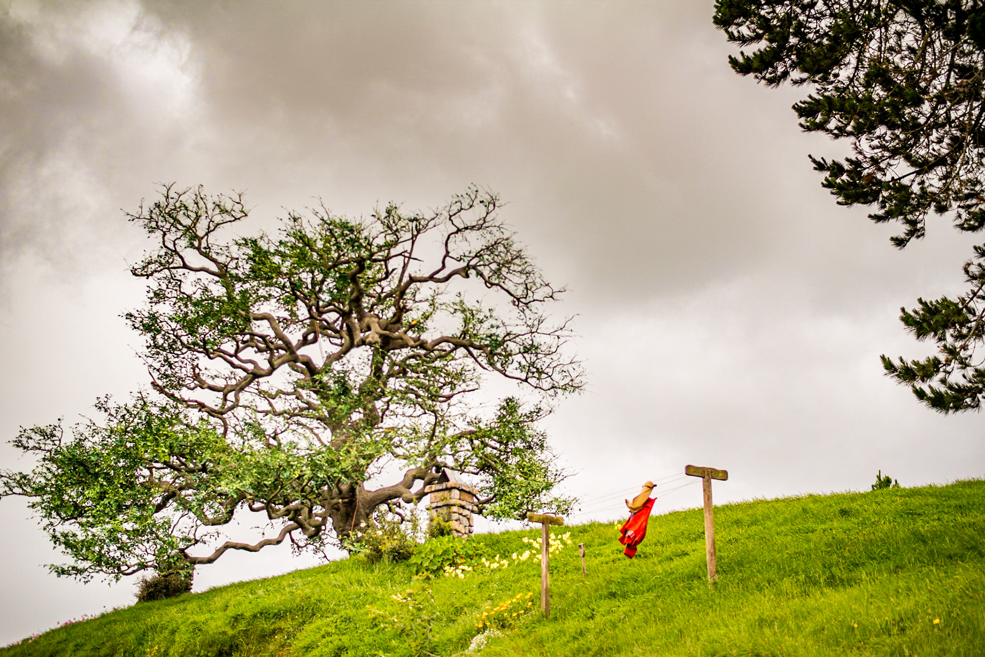 THE tree and some washing on top of Bagend