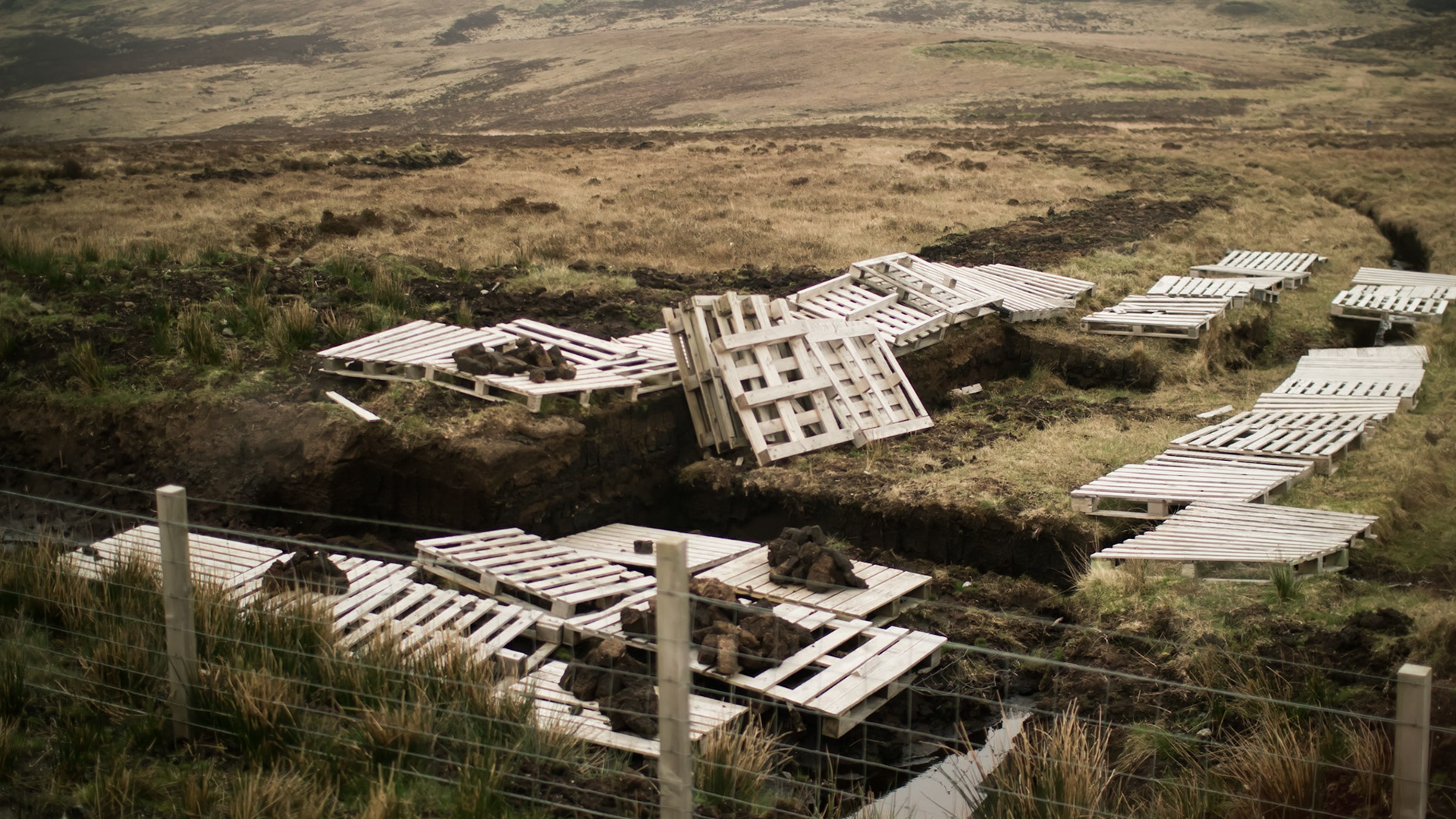 Peat drying