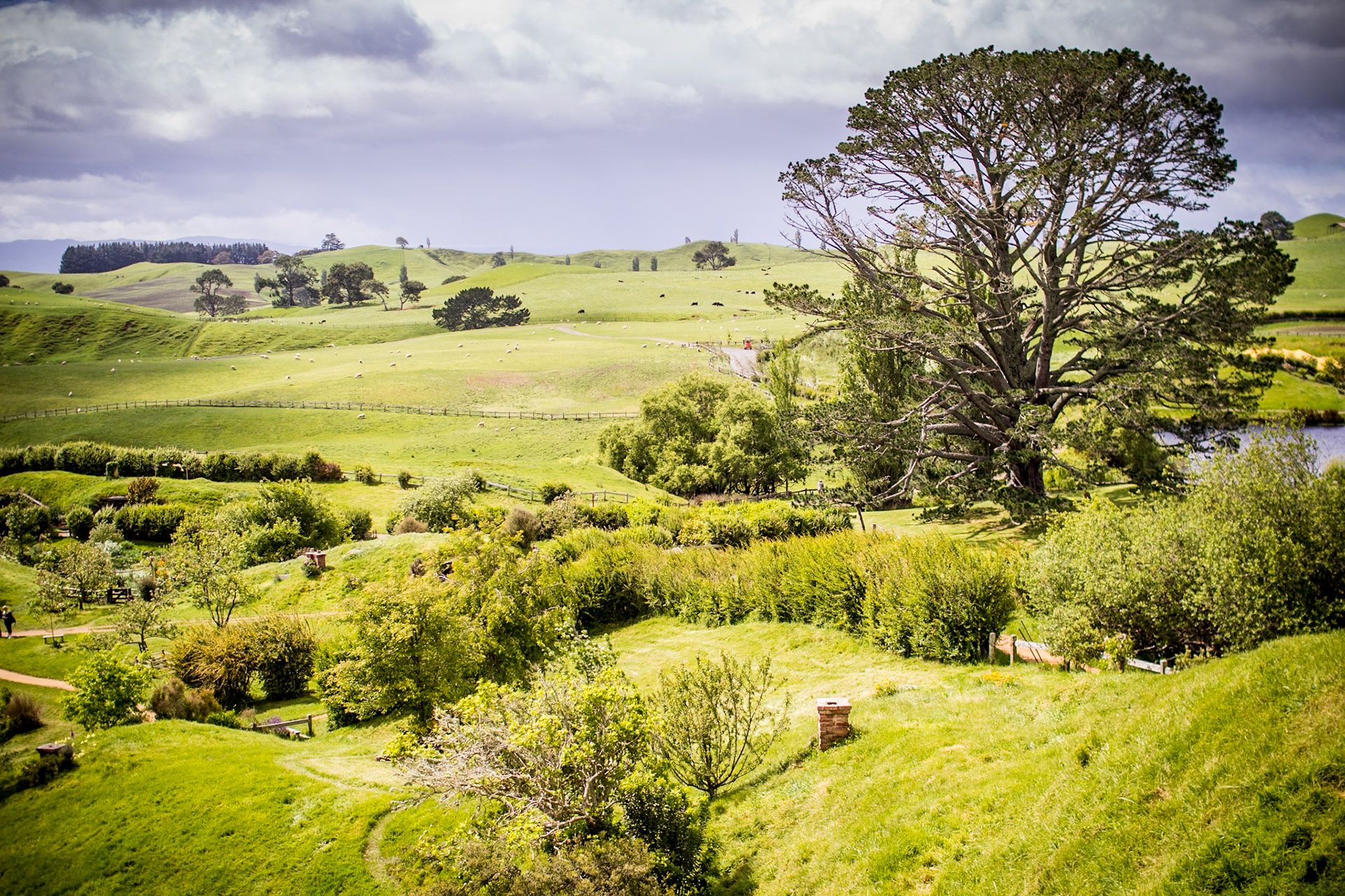 Hobbiton Surrounds