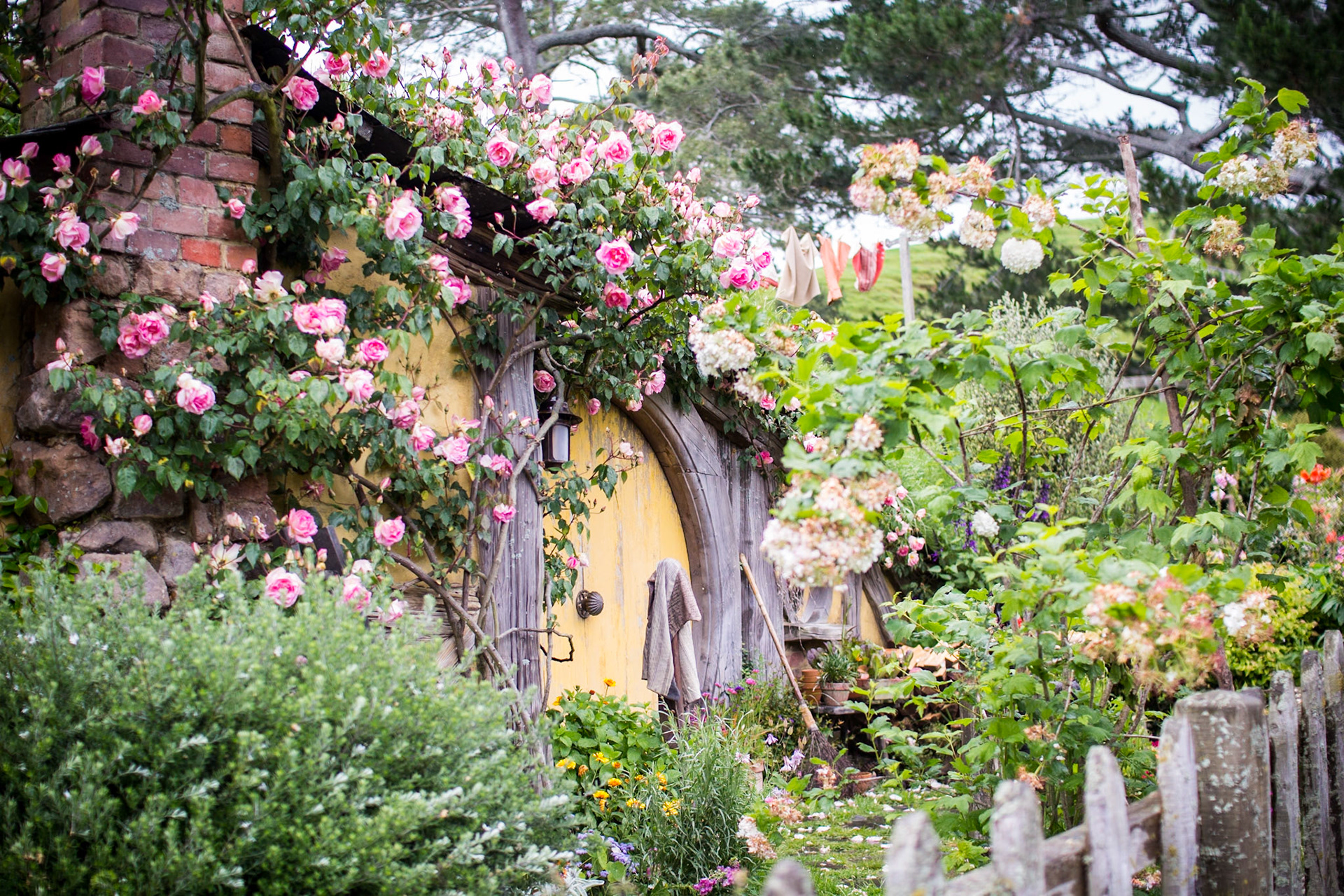 Hobbit hole with a yellow door
