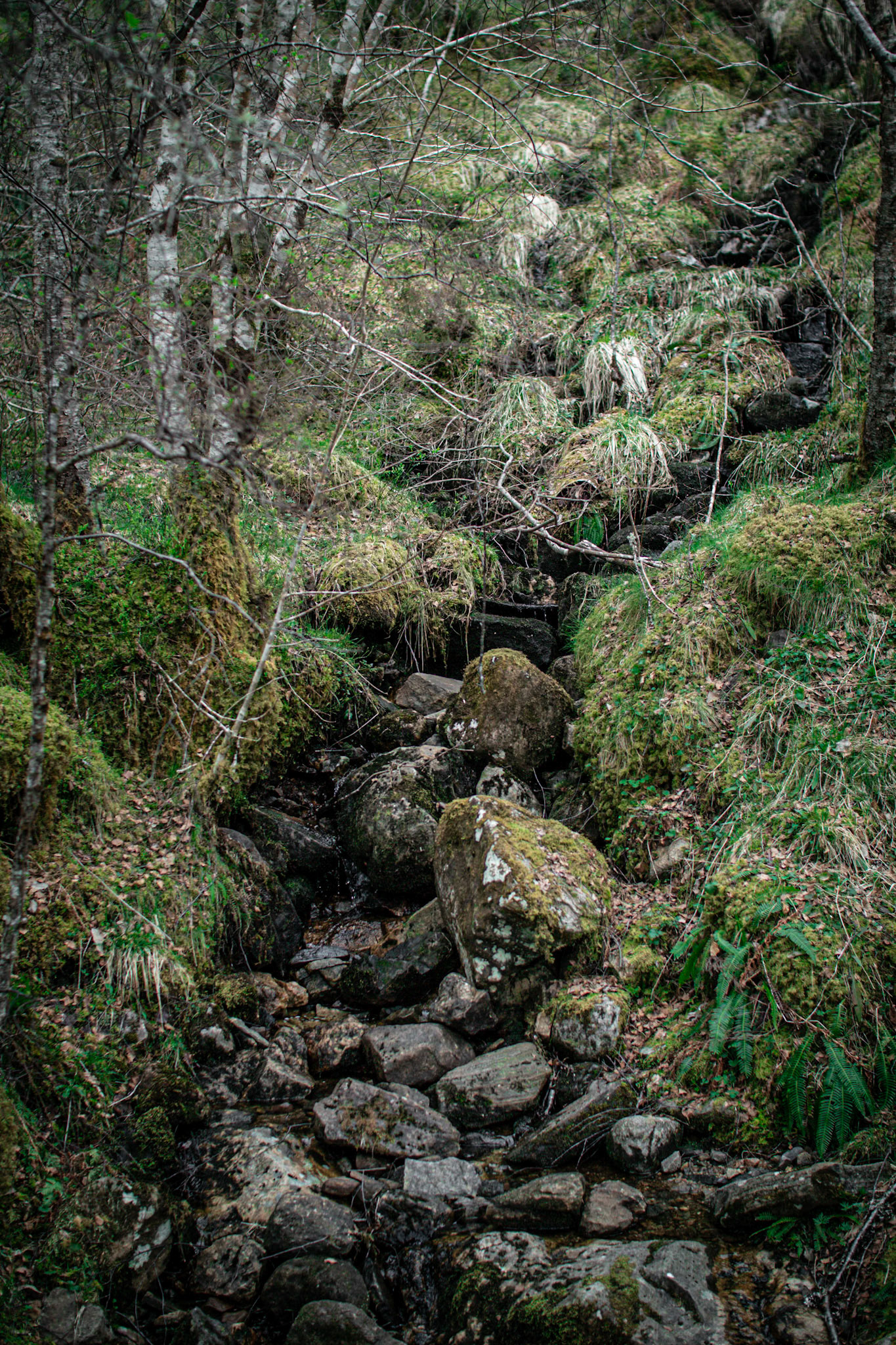 Another stream/waterfall