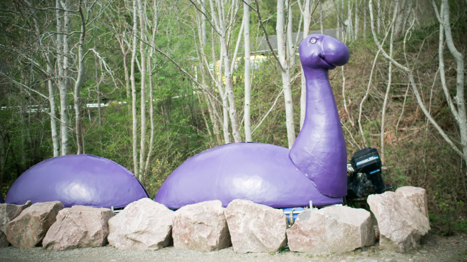 Nessie, Nessie, Nessie