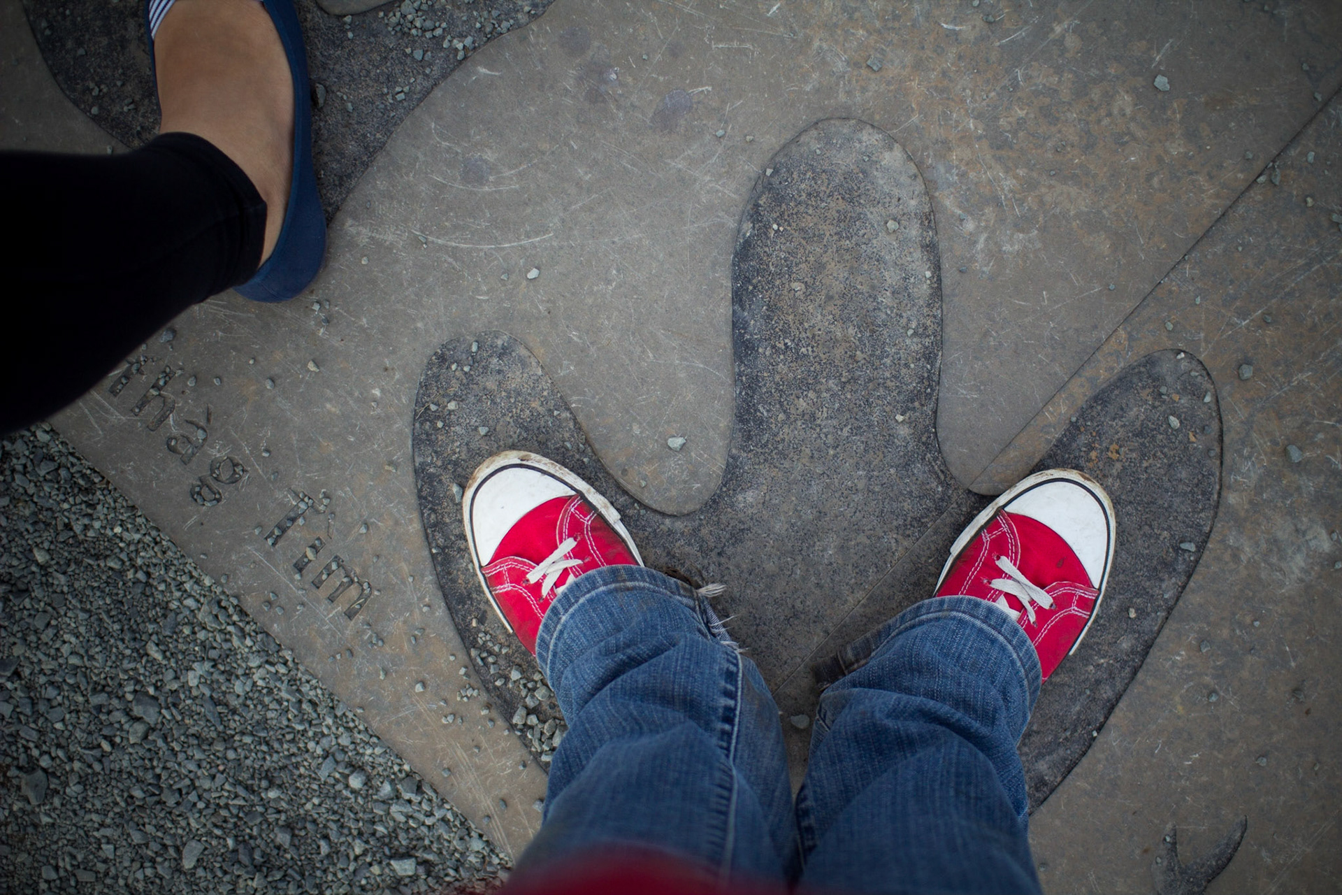Dwarfed by the dinosaurs