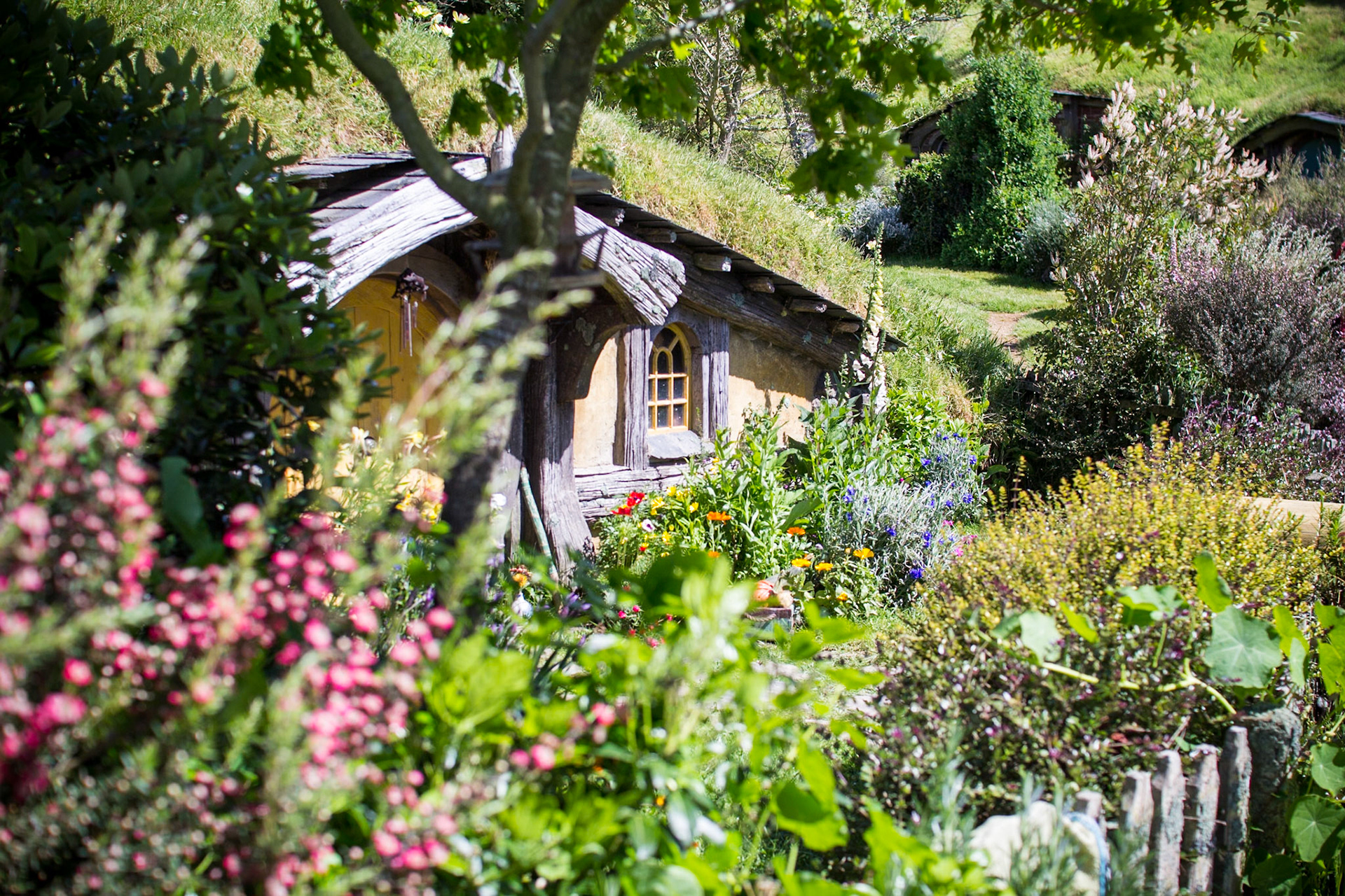 Hobbit homes