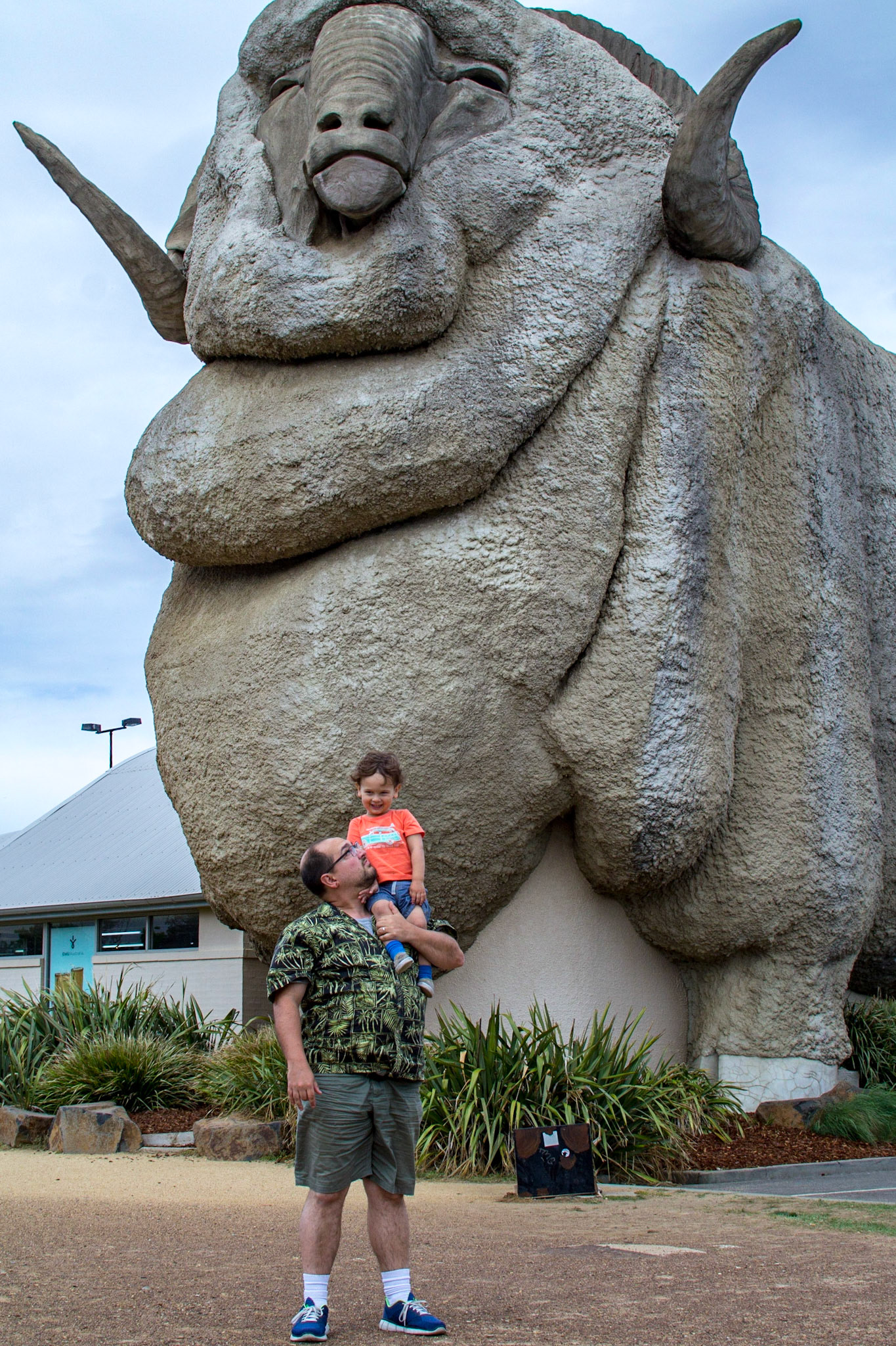 The Big Merino 2017