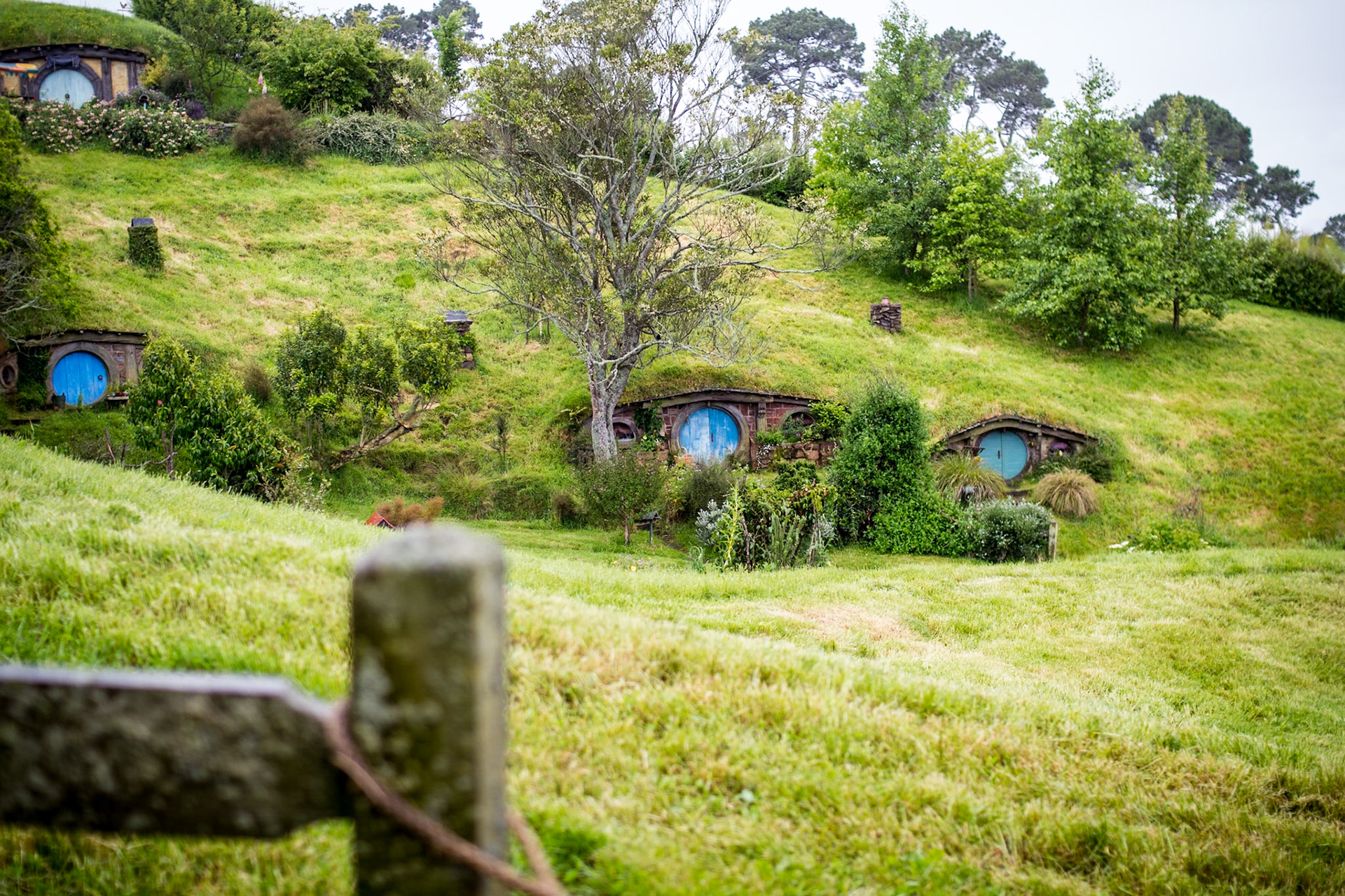 Hobbit holes