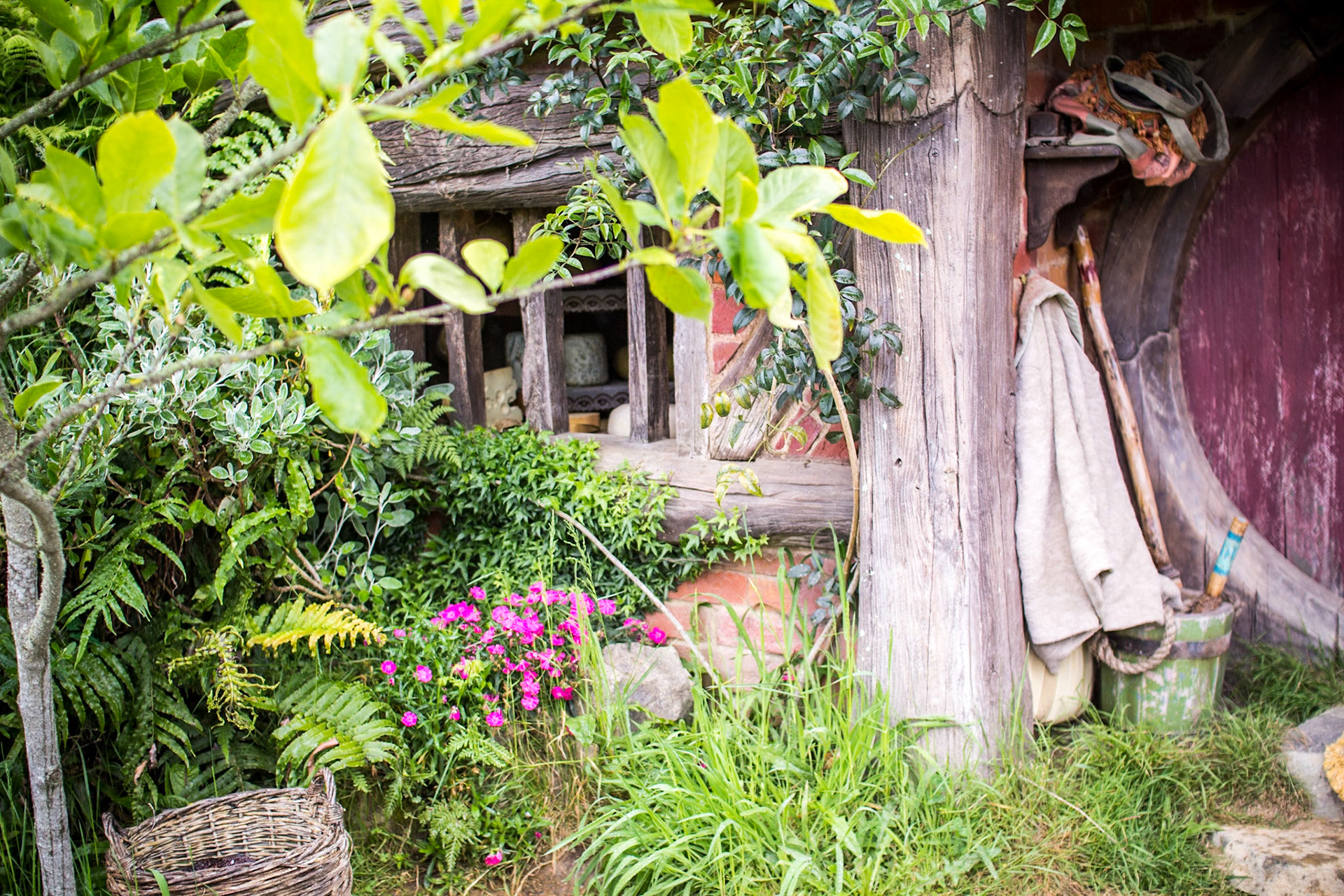 Look through the window!