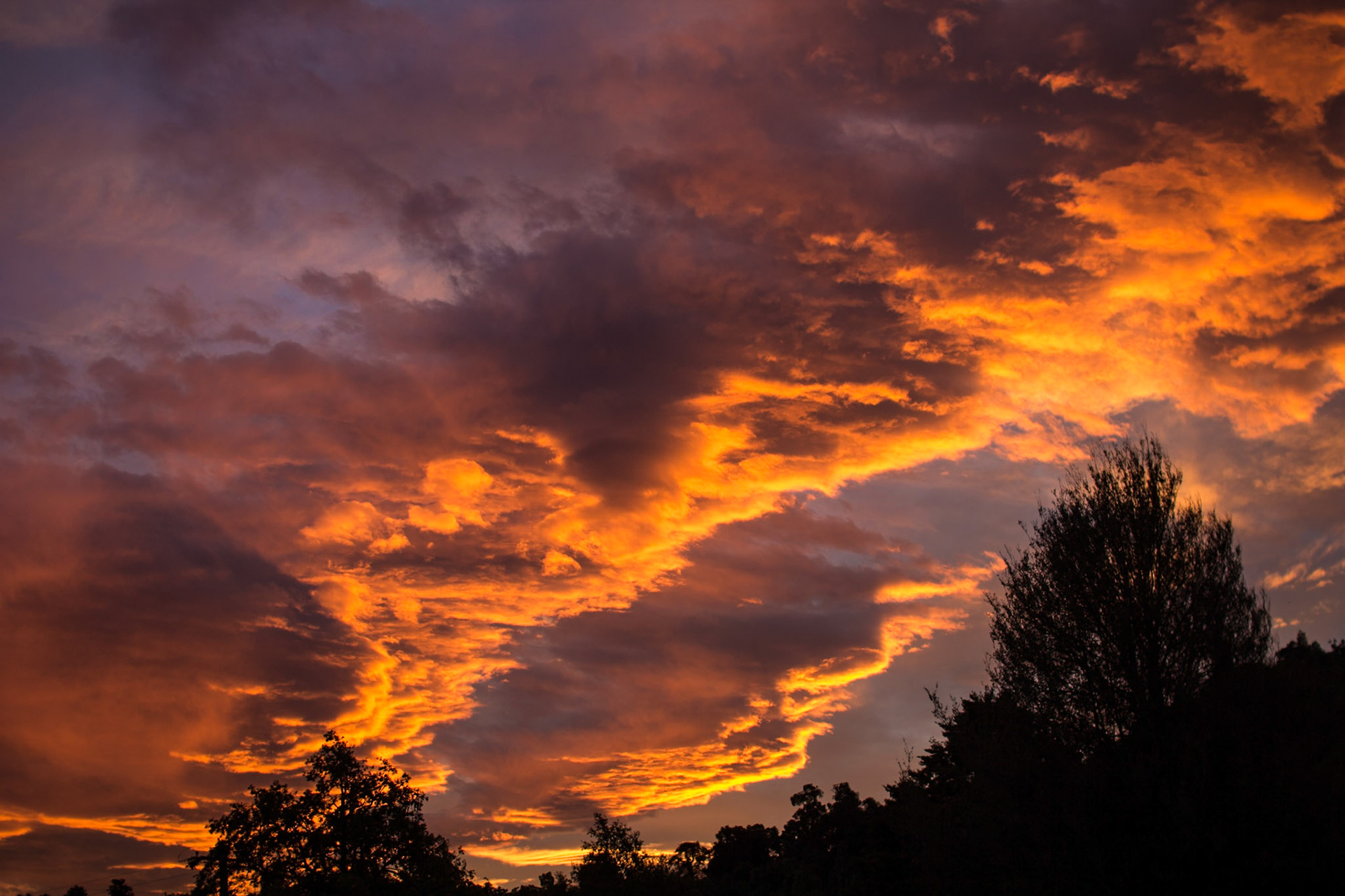 Sunset at Peel Forest Camp Site