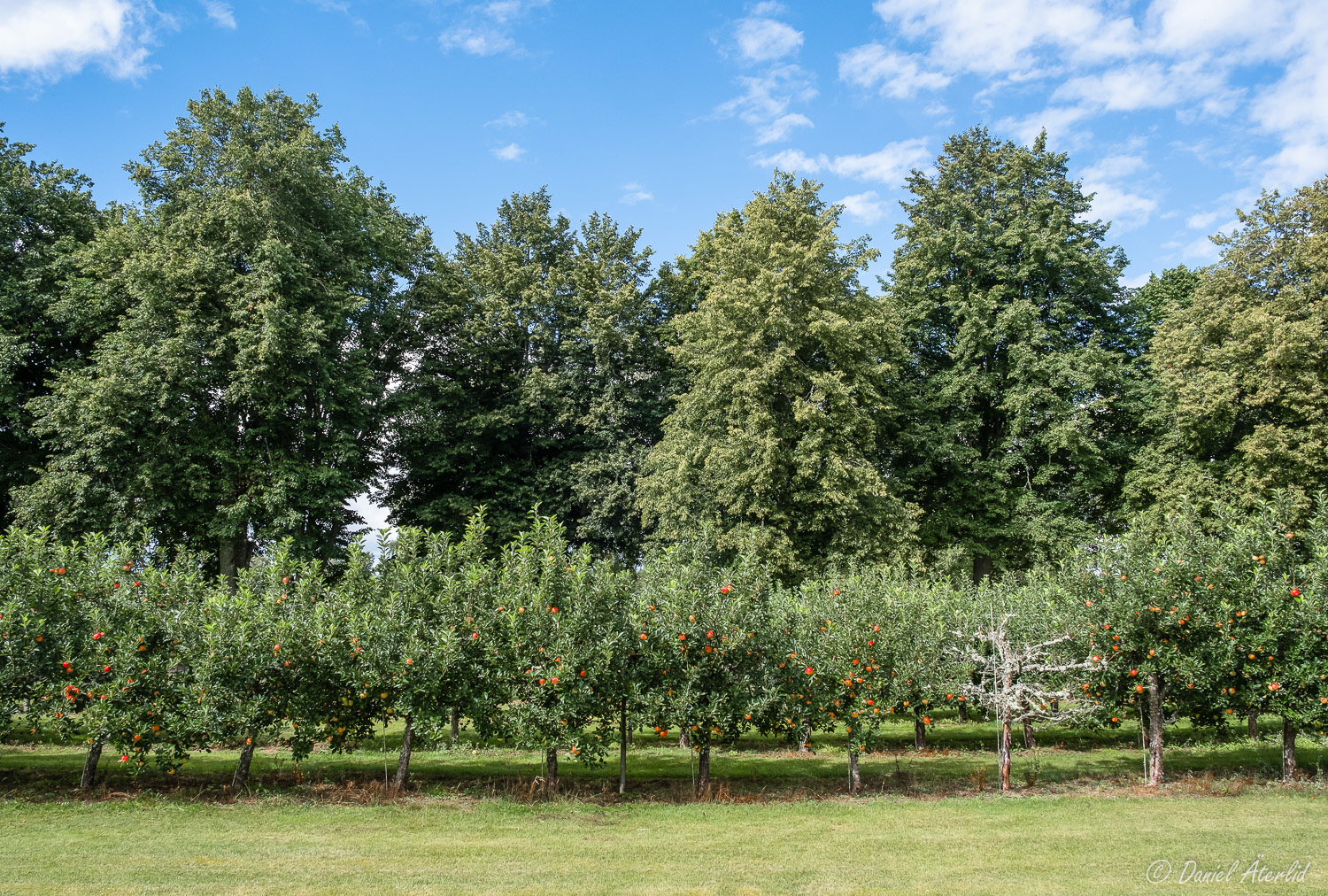 Alla fick inte vara med