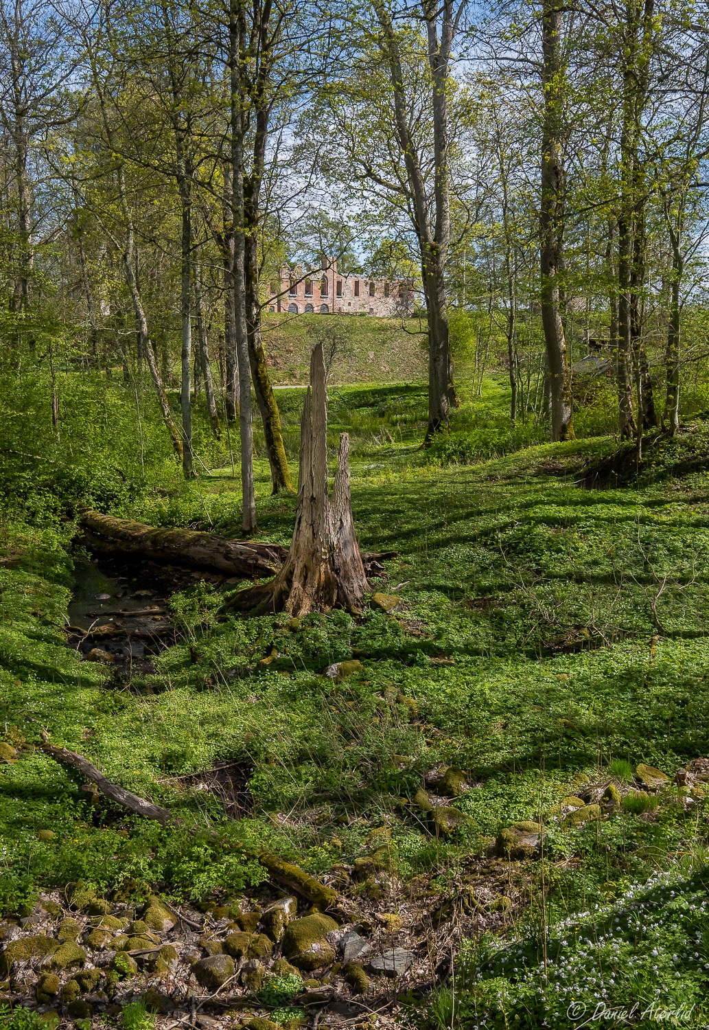 Gräfsnäs Slottsruin