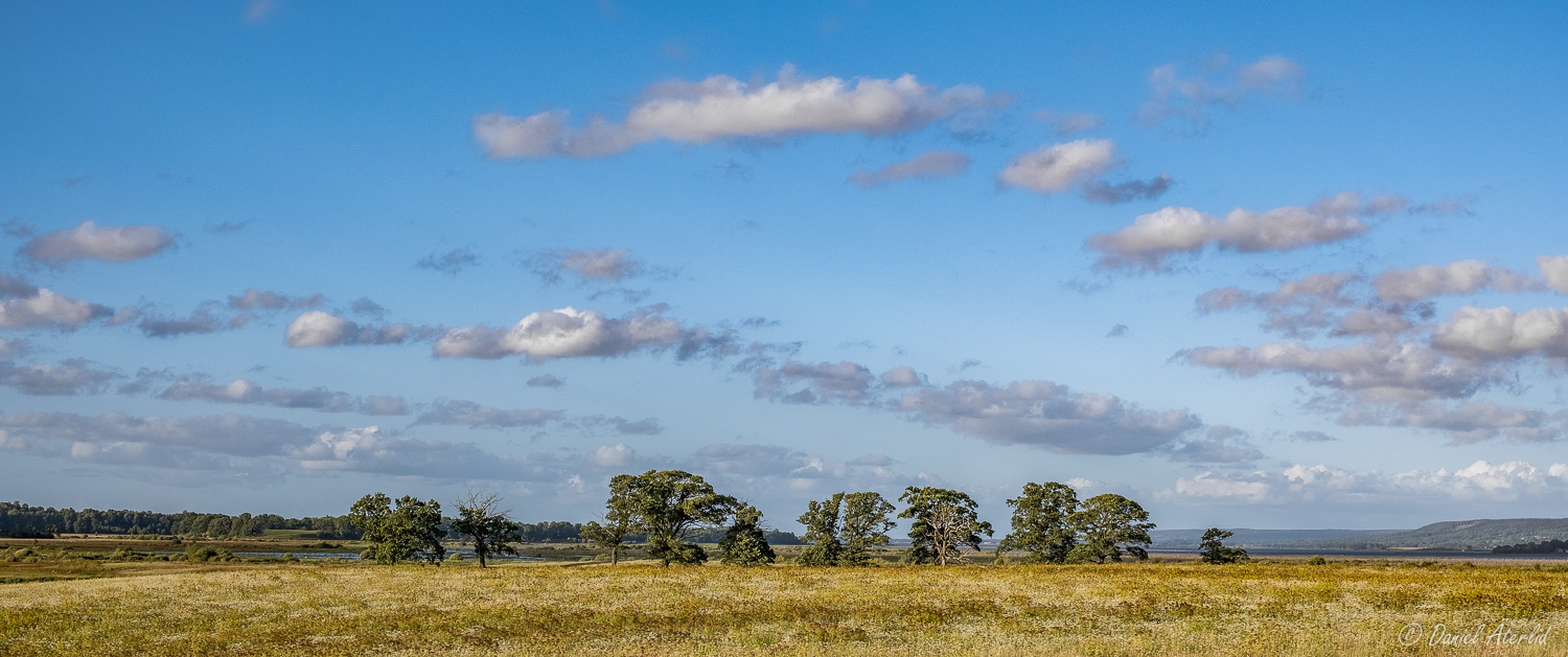 Savannen vid Hornborgasjön 
