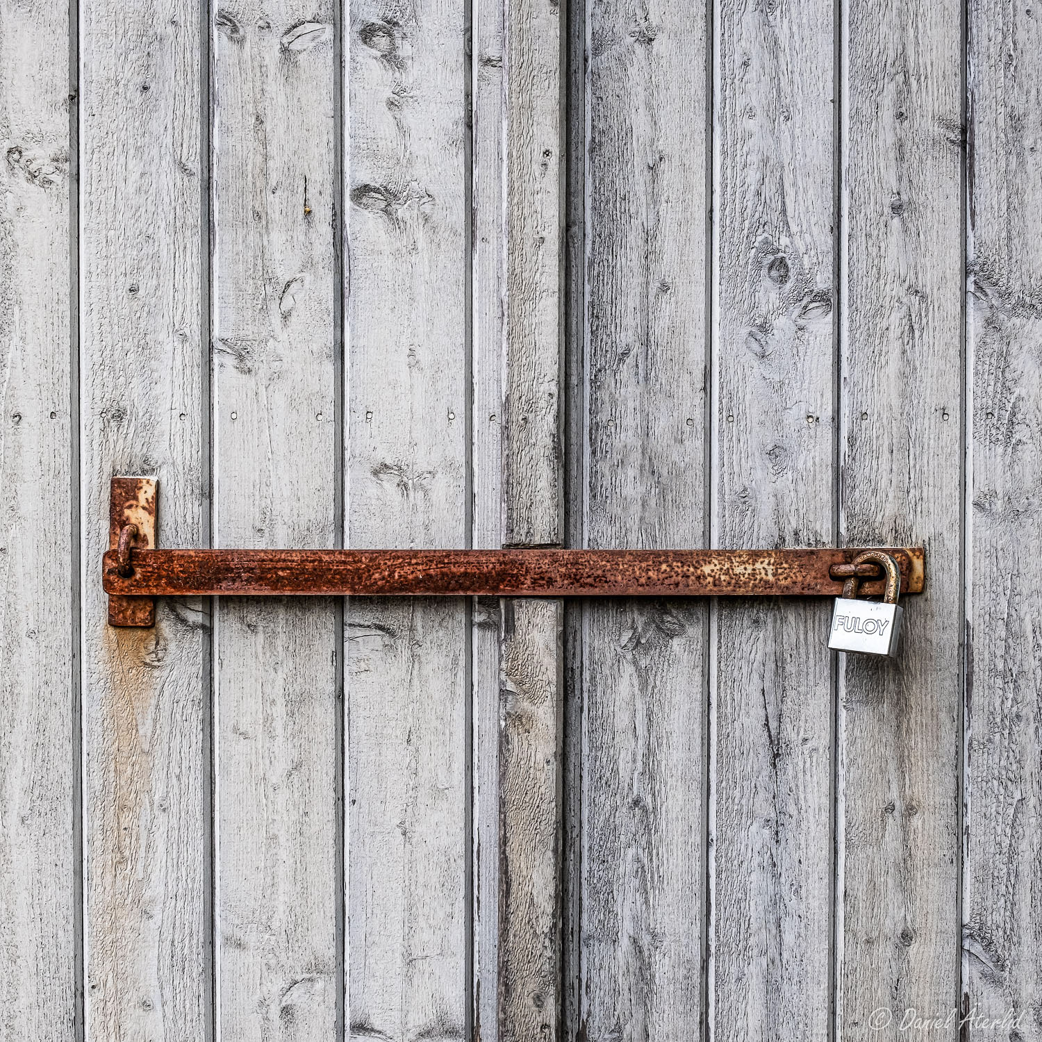 Rost