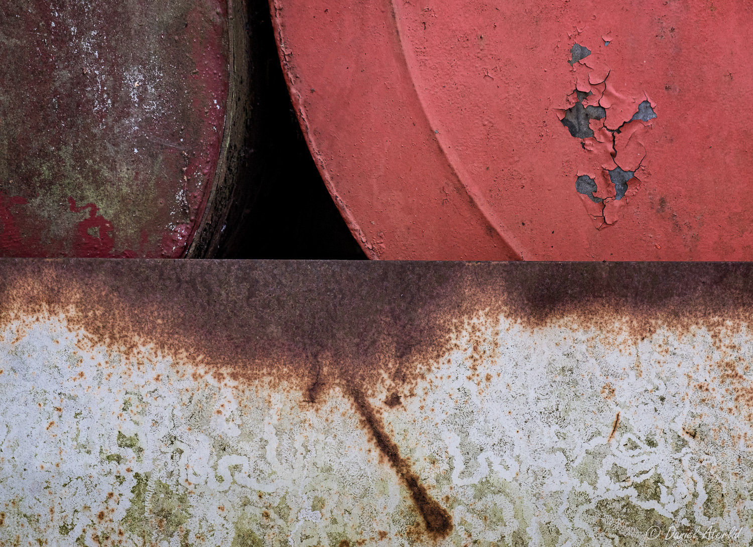 Rost