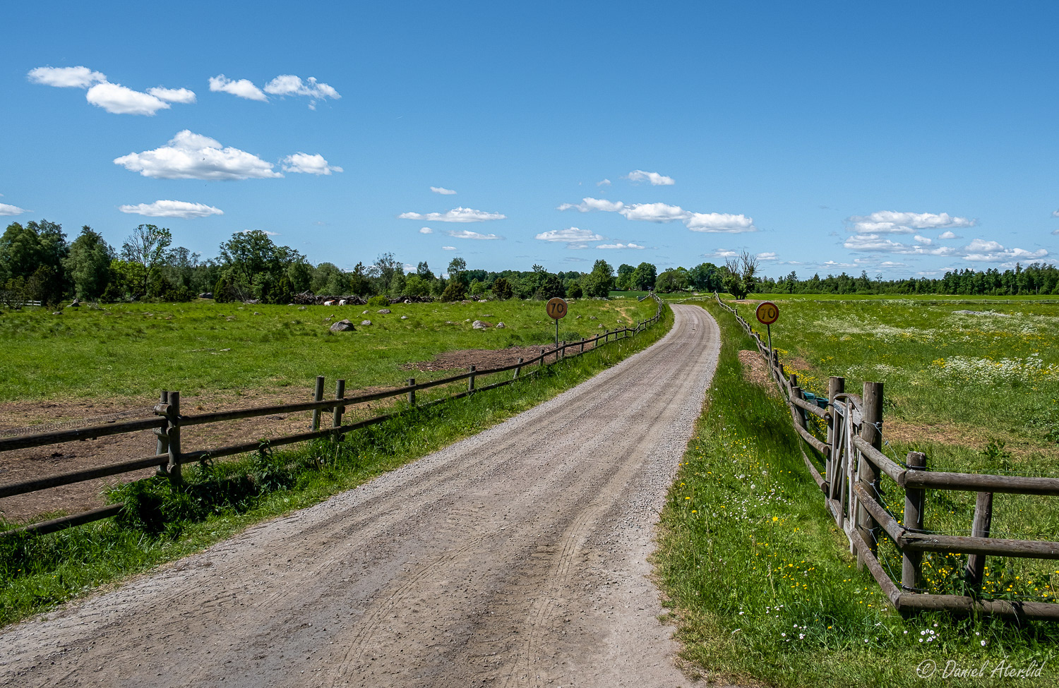 Väg i sommarsverige