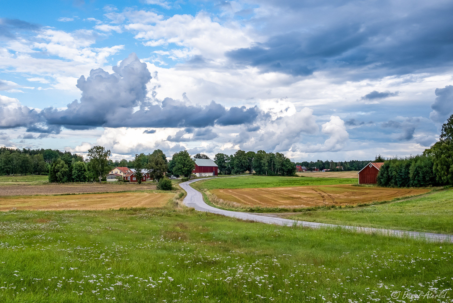 Sommarlandskap Vinköl