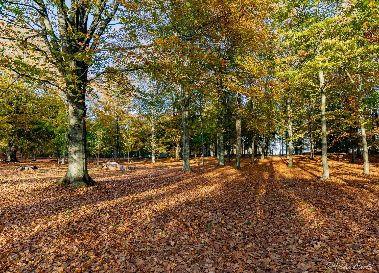 Villa Giacomina Lidköping