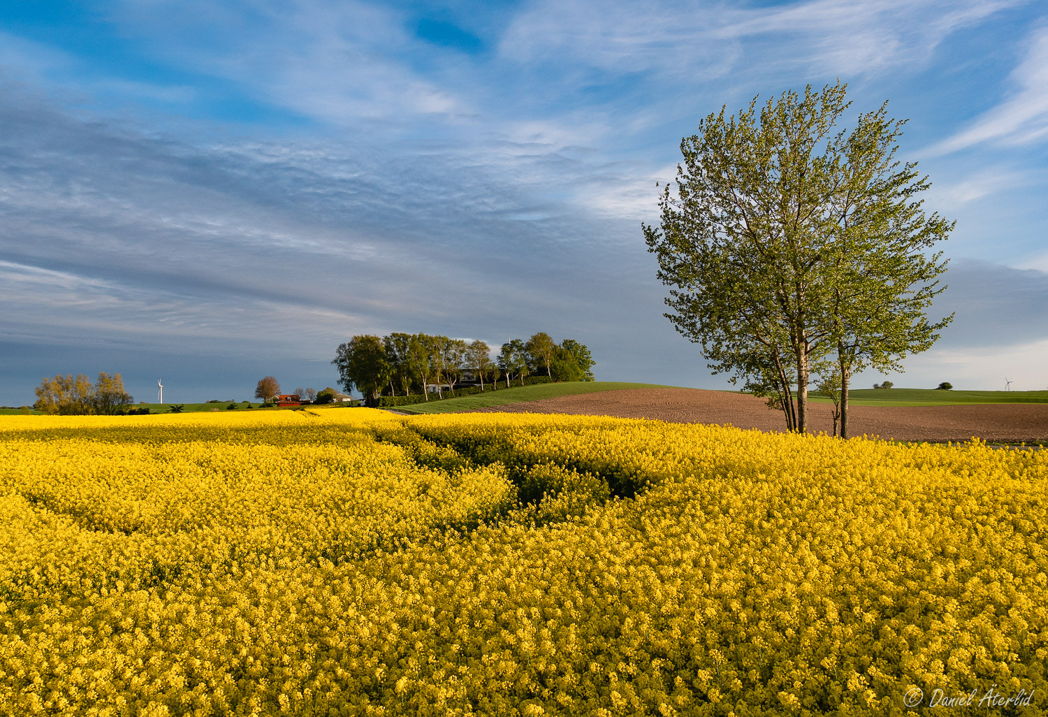 Ystad