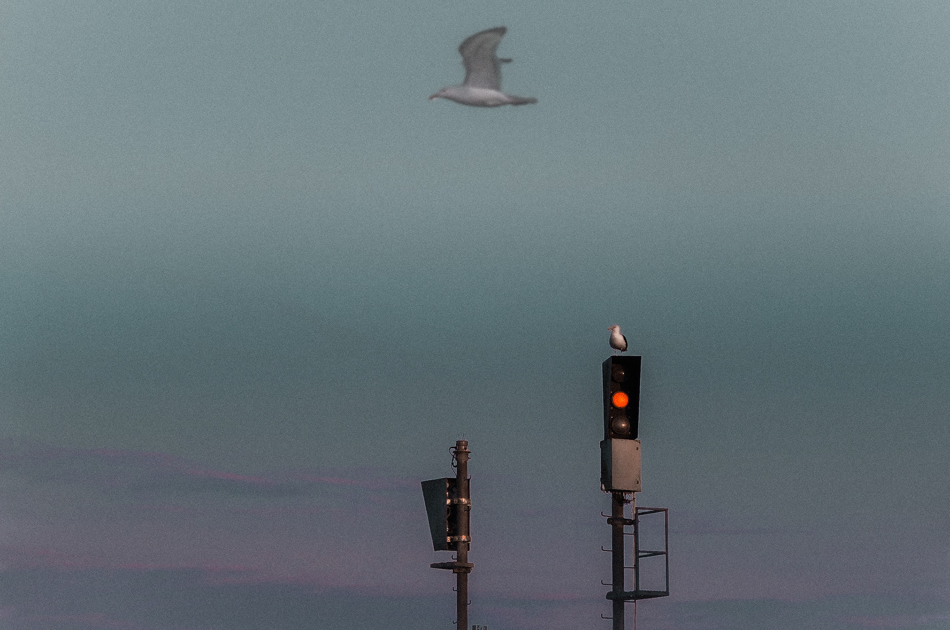 Un ange passe. La mouette se tait. Feu orange