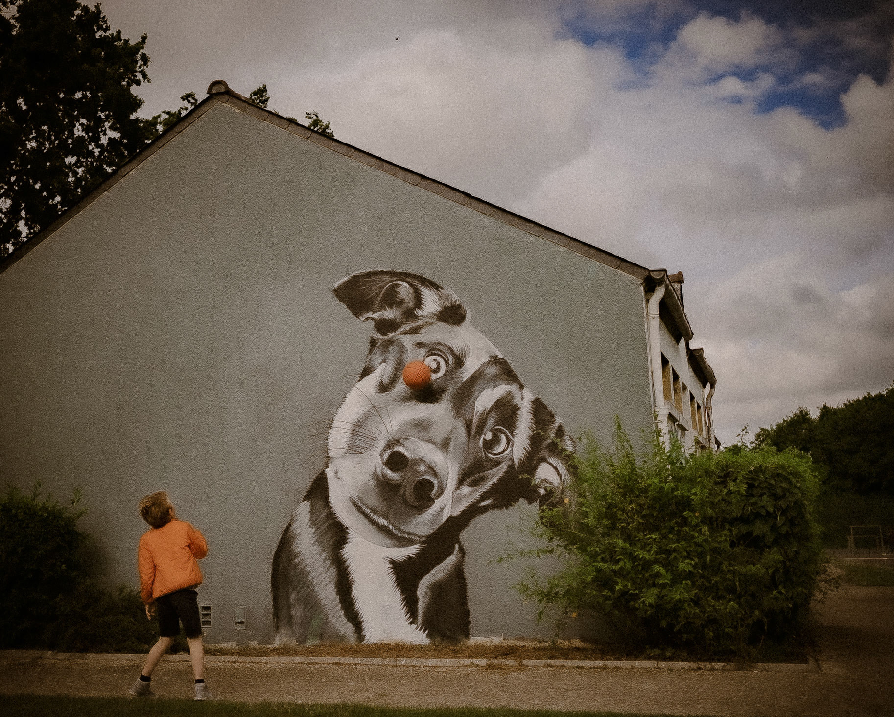 Le chien
