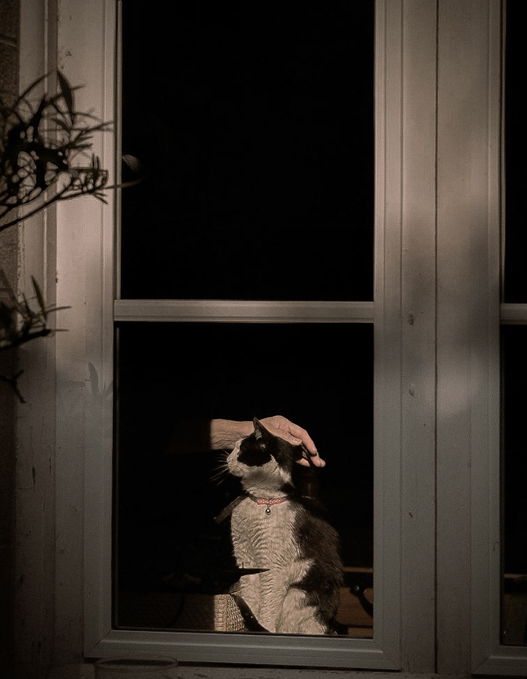 Caresse de soir d'été