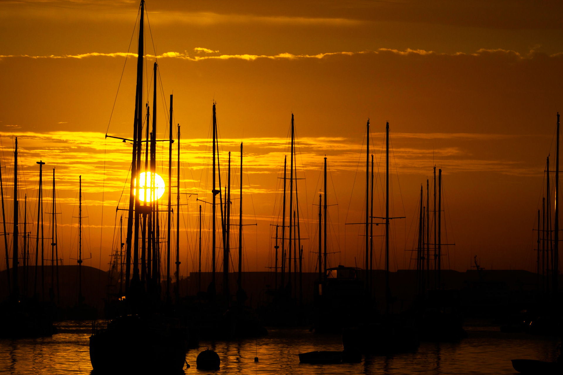 Sunrise at the Harbor