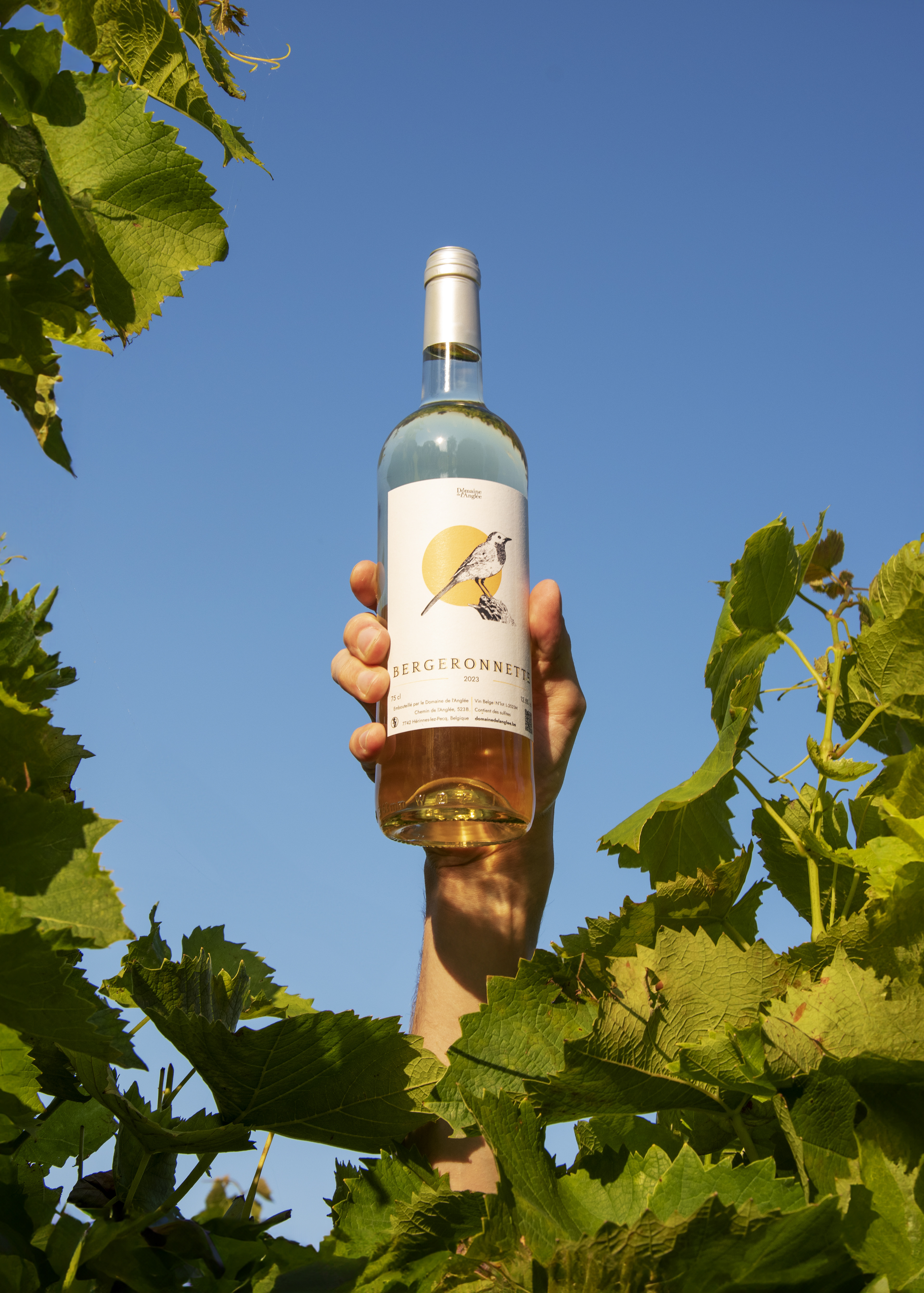 Vin blanc