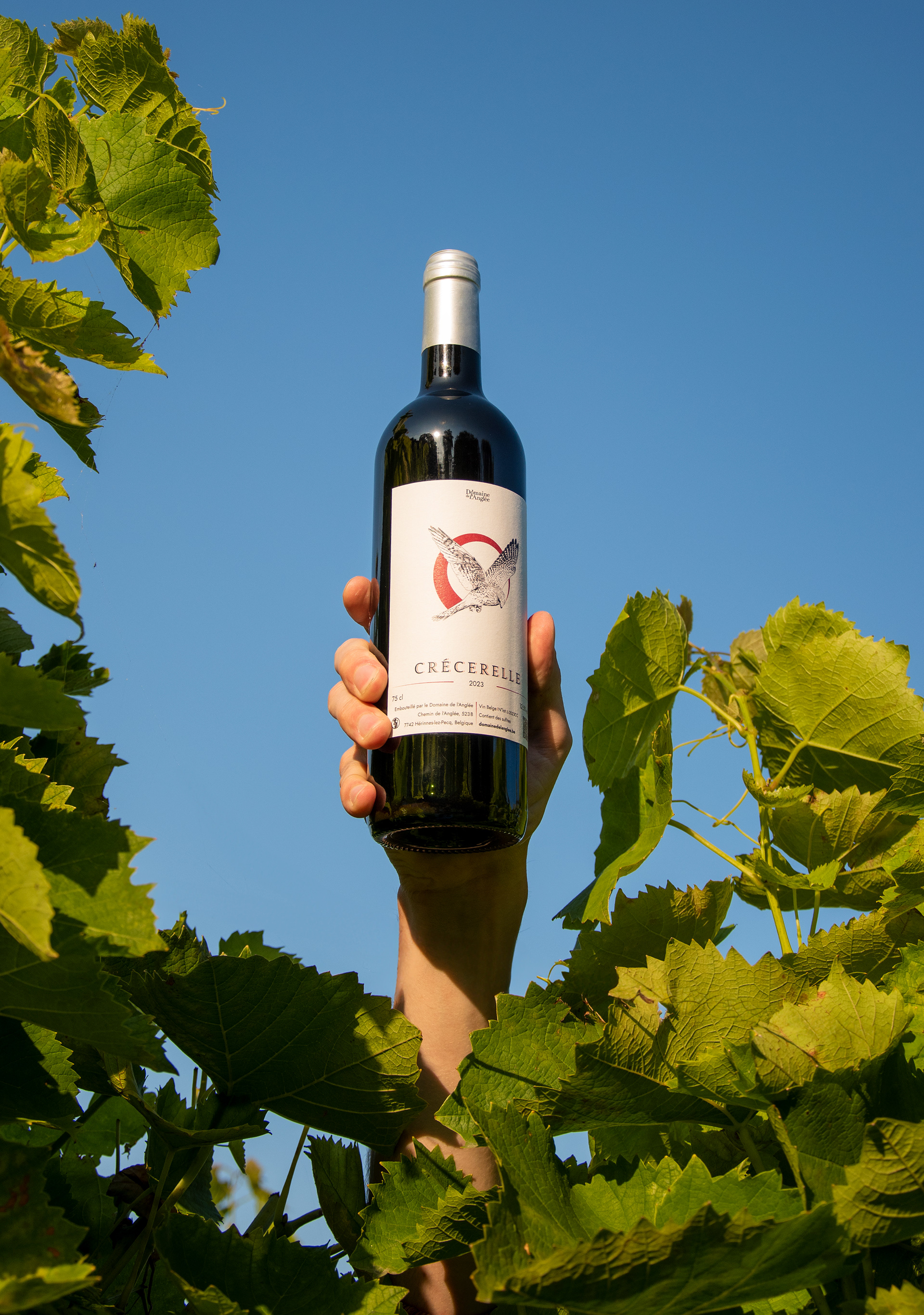 Vin rouge