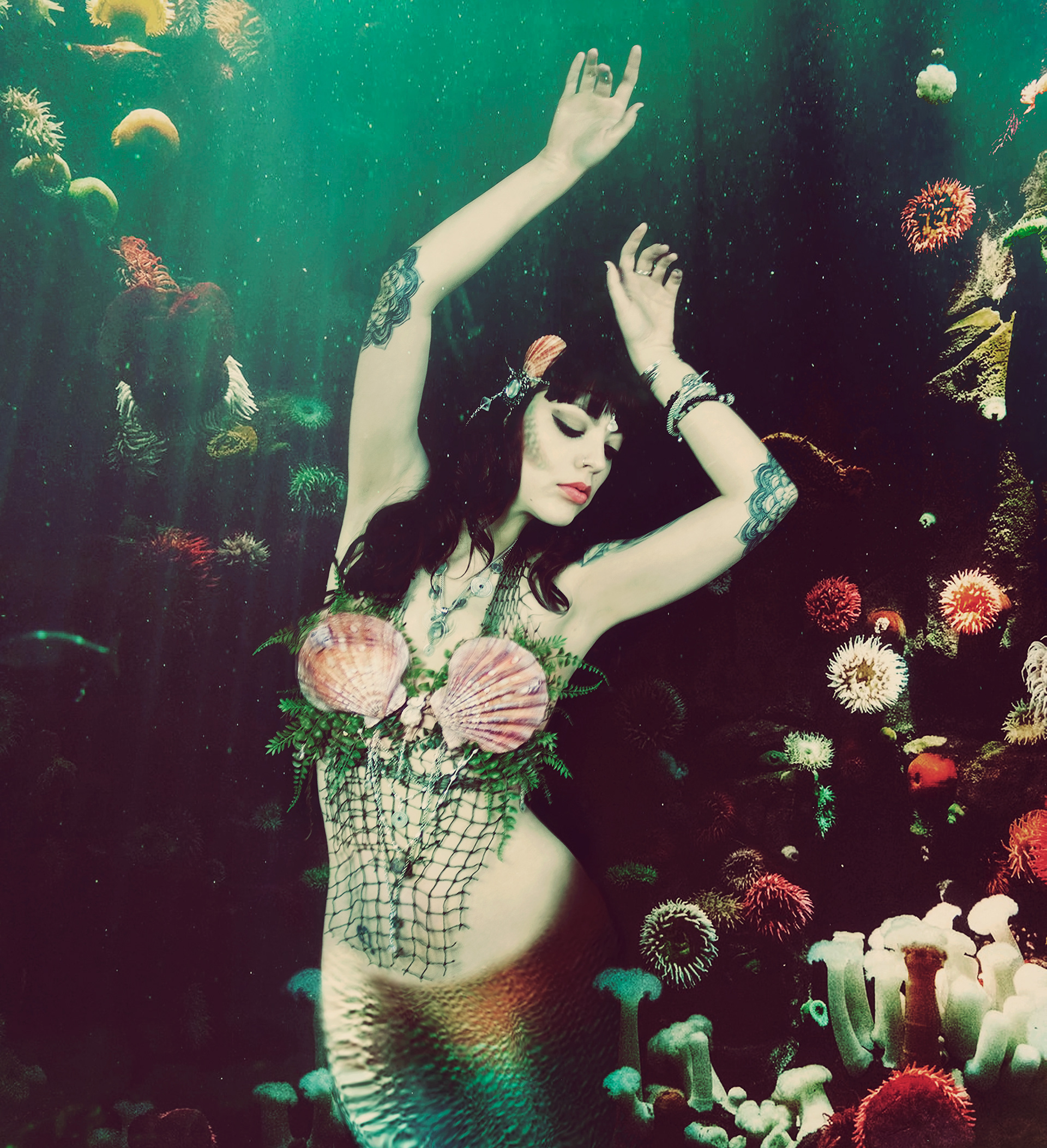 Sirena