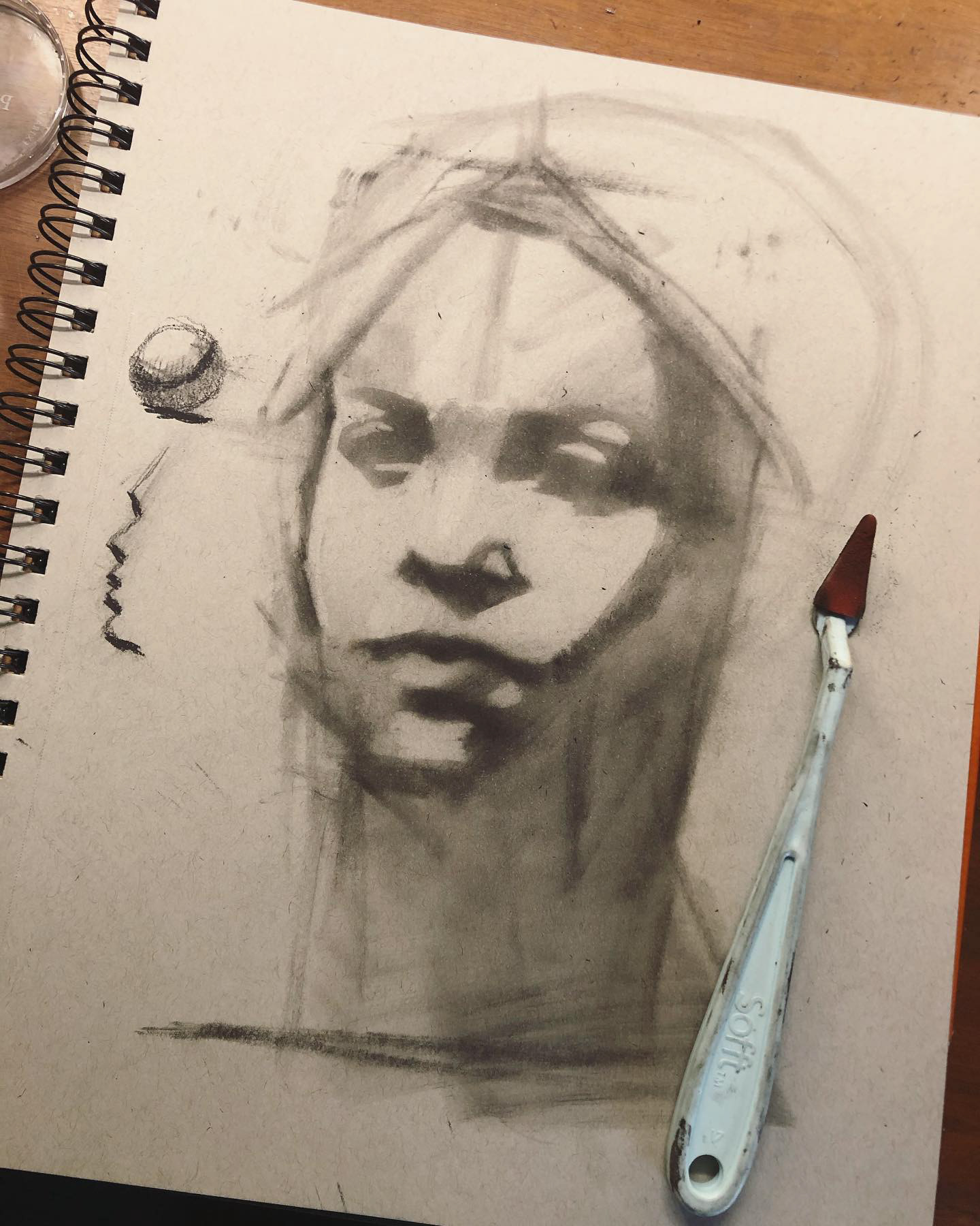 portrait beginnings on toned paper, Pan Pastel