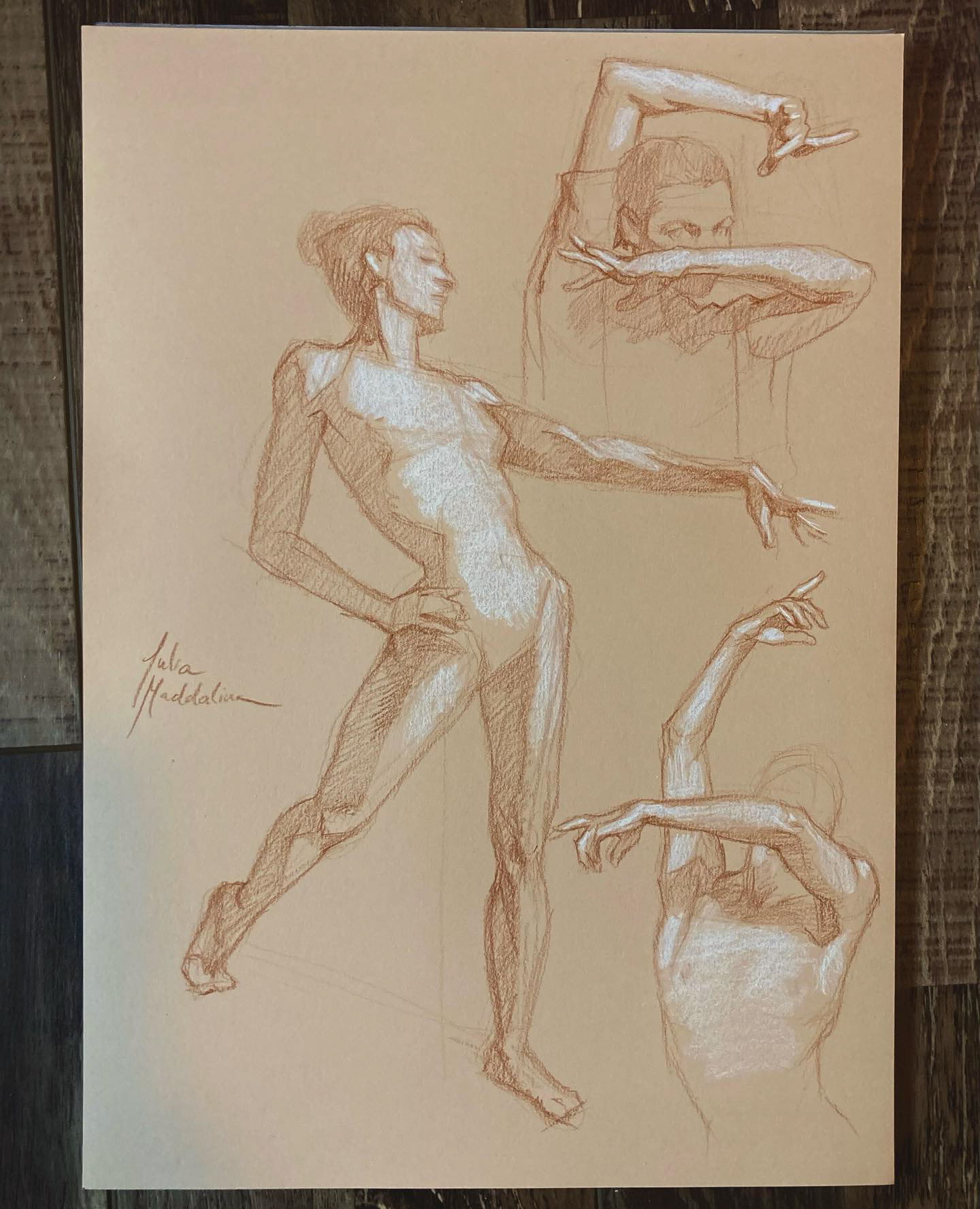 Pastel pencil and white charcoal figure study on toned paper