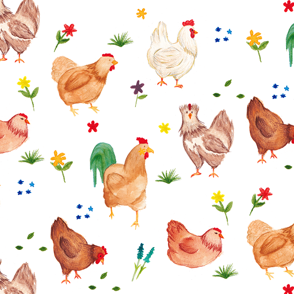Chicken