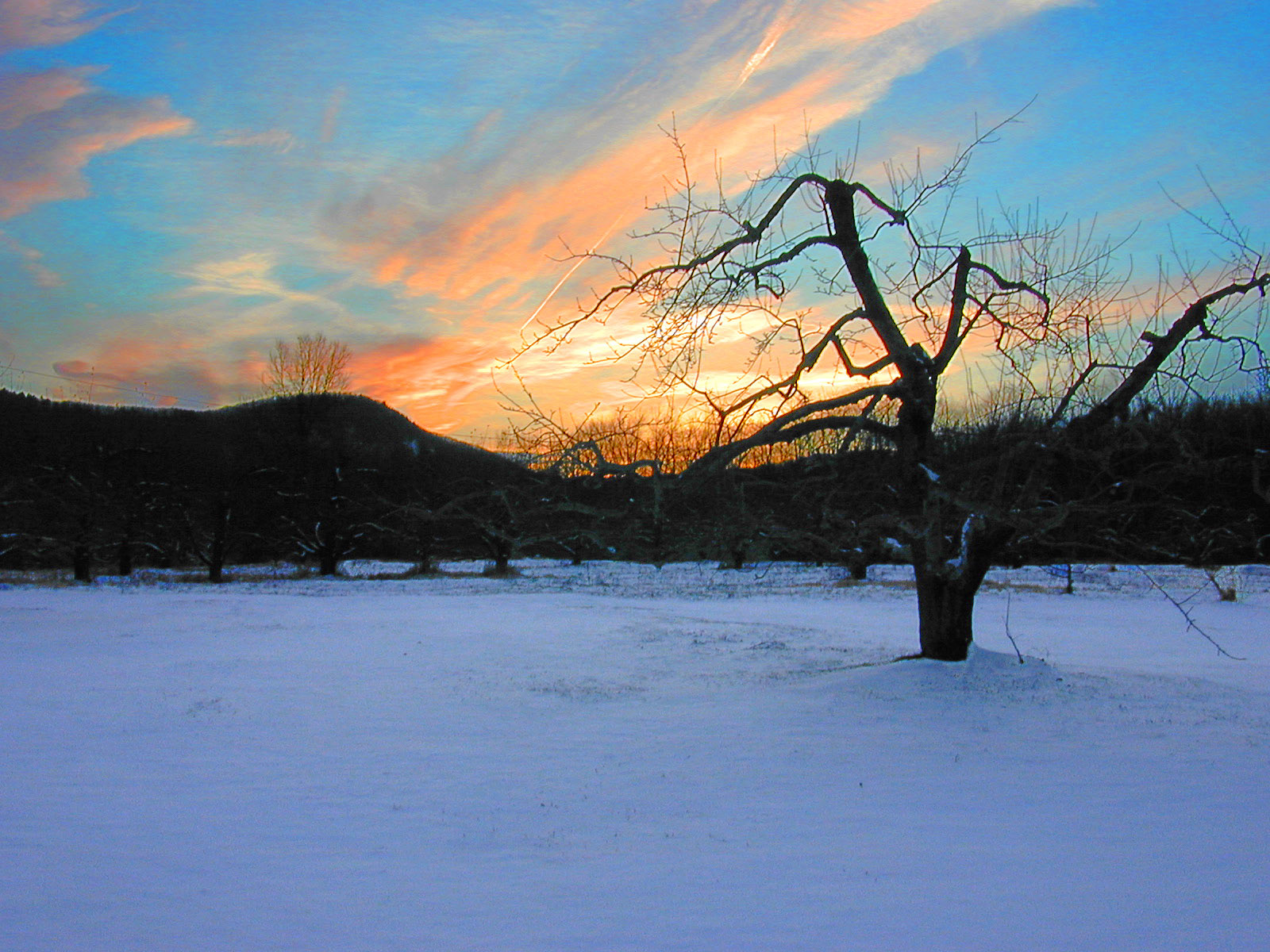 Amherst, Massachusetts 2003