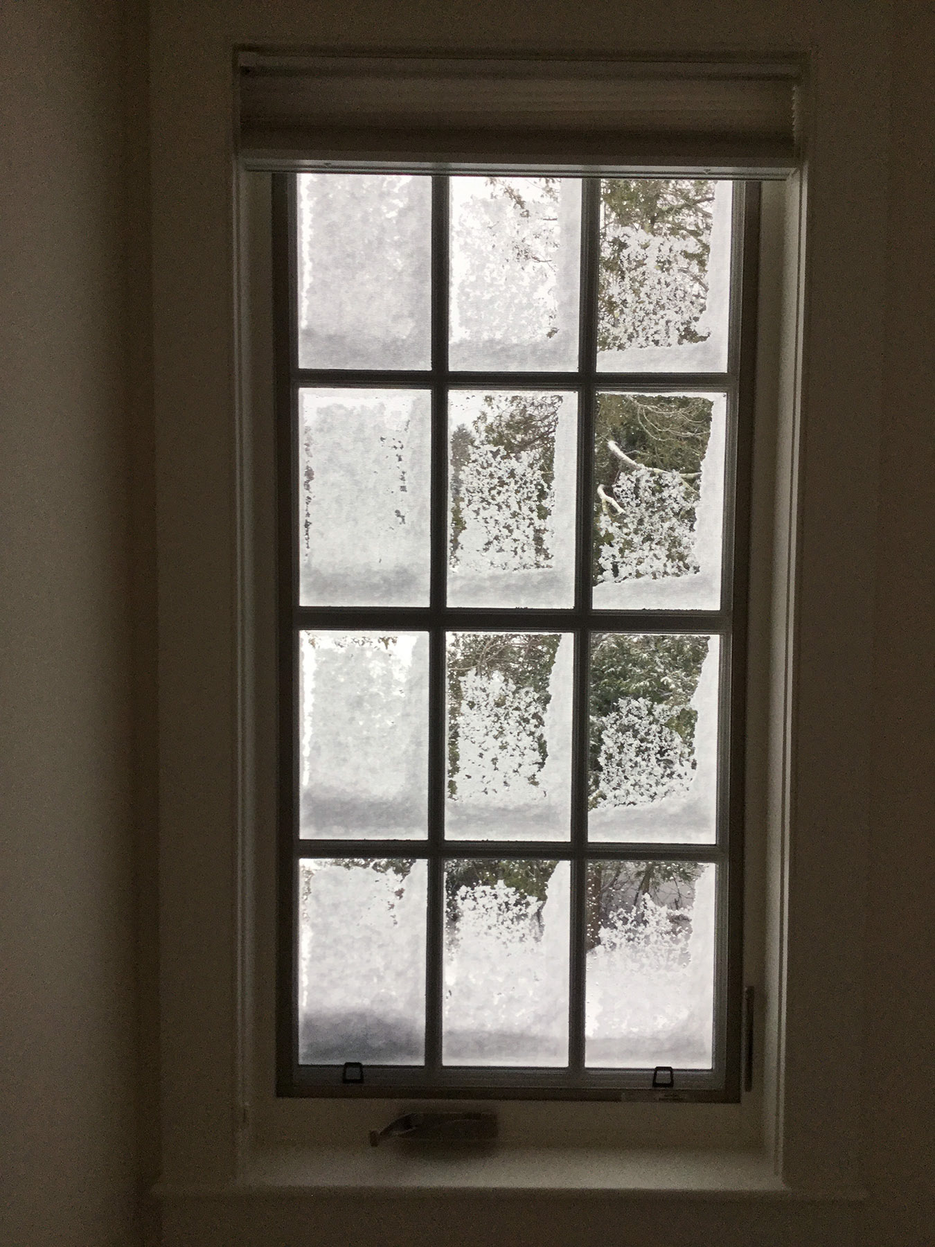 First Winter Rockport, Maine 2018