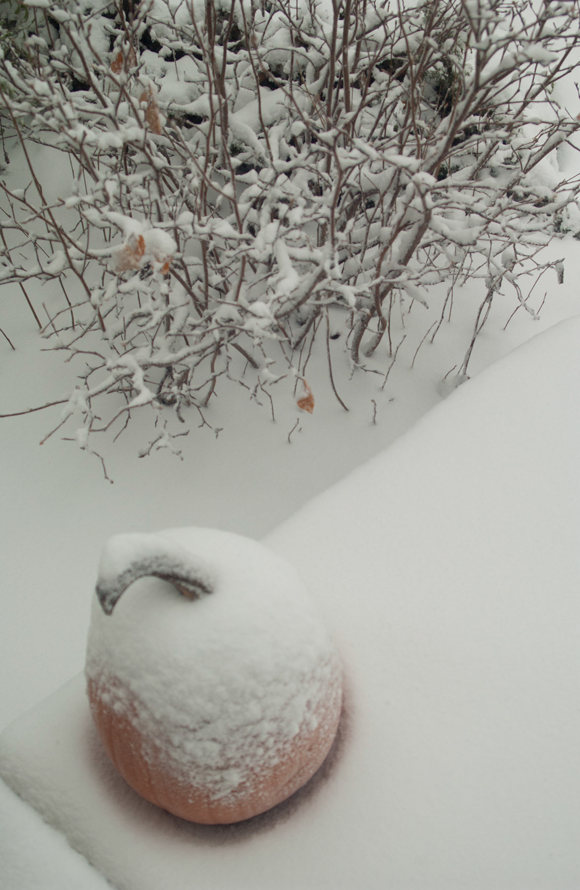 Snow Pumpkin Rockport, Maine 2018