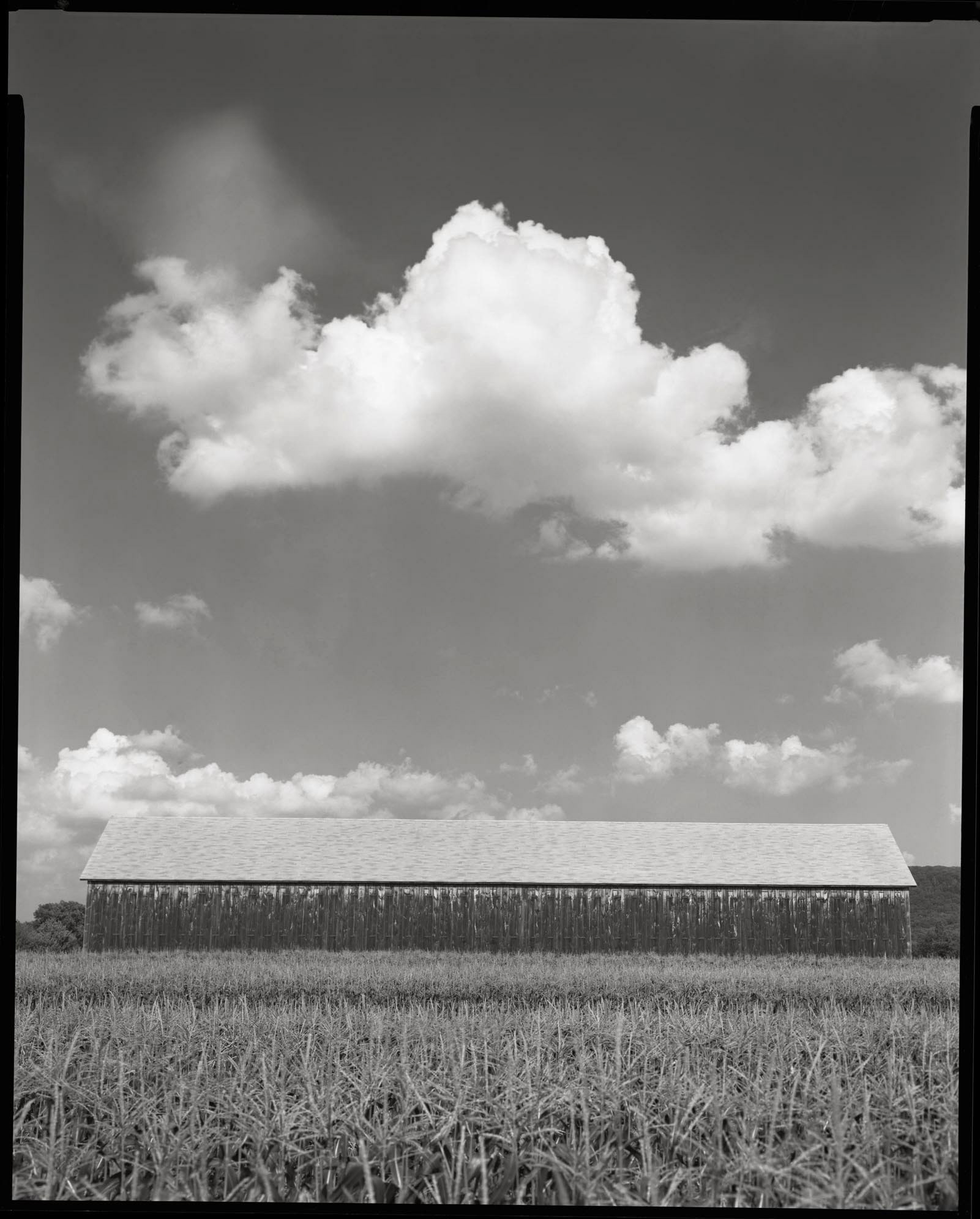 Tobacco Barn with Cloud Hadley, Massachusetts 1993
