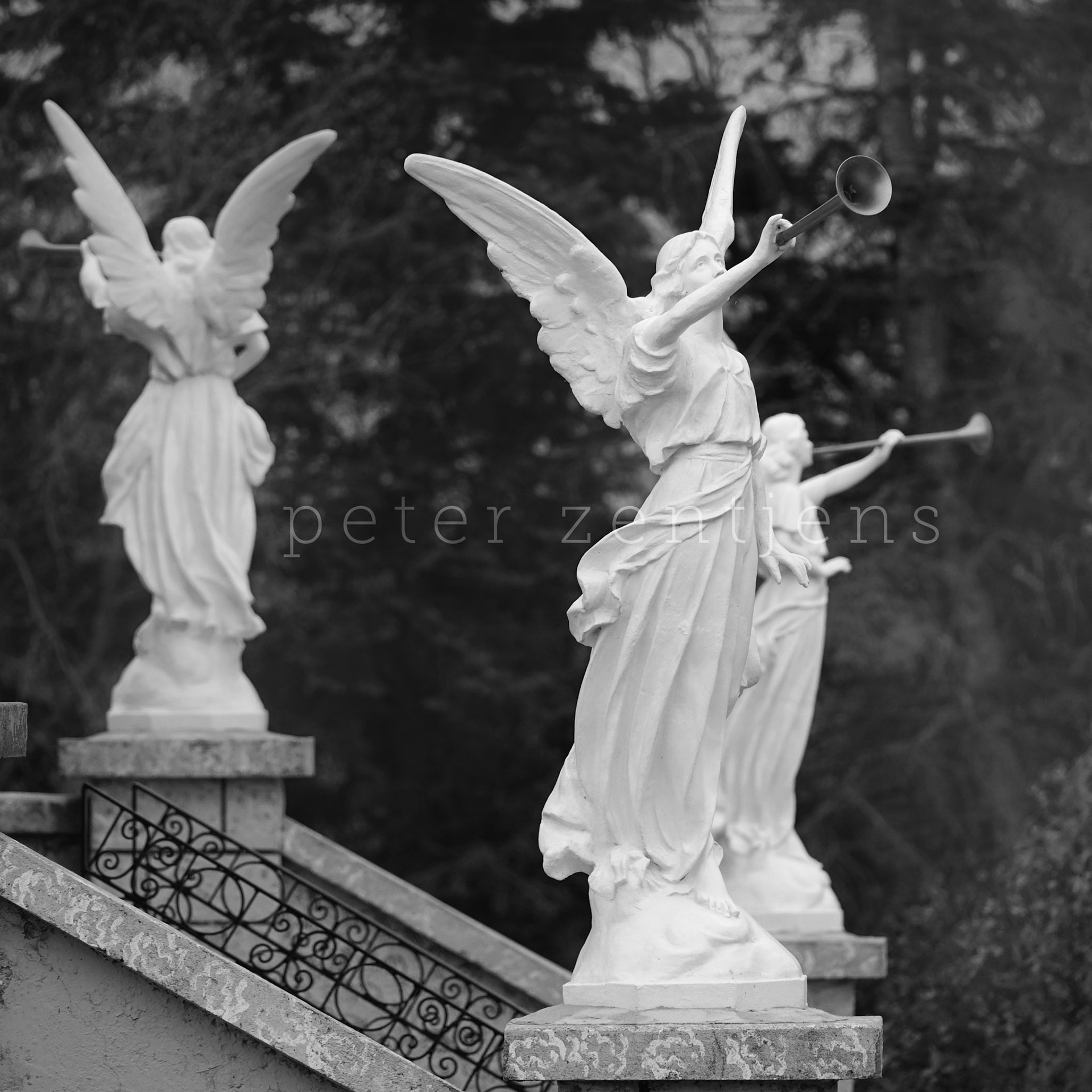 Cooks Creek Immaculate Church Angels