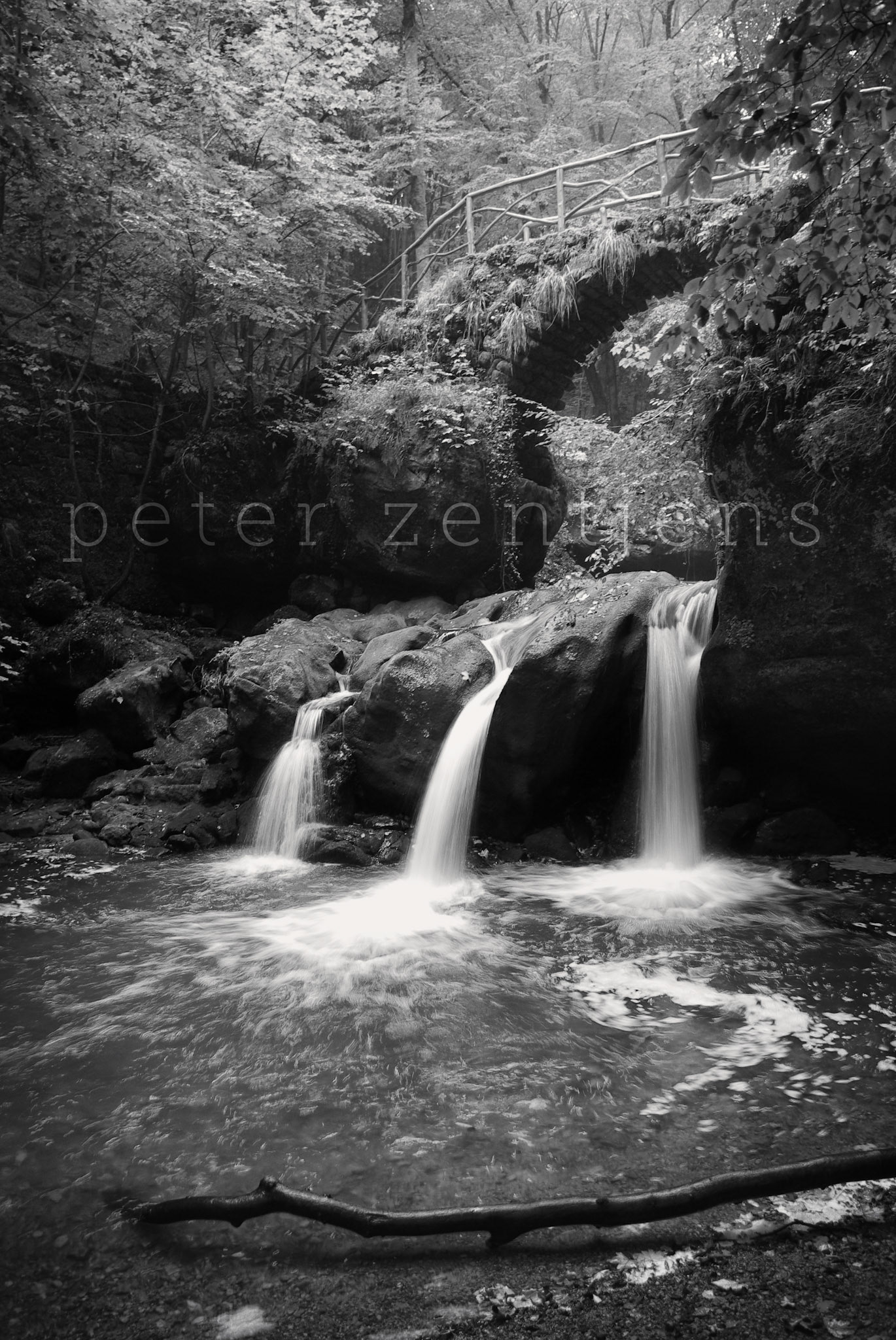 Germany - Schiessentumpel