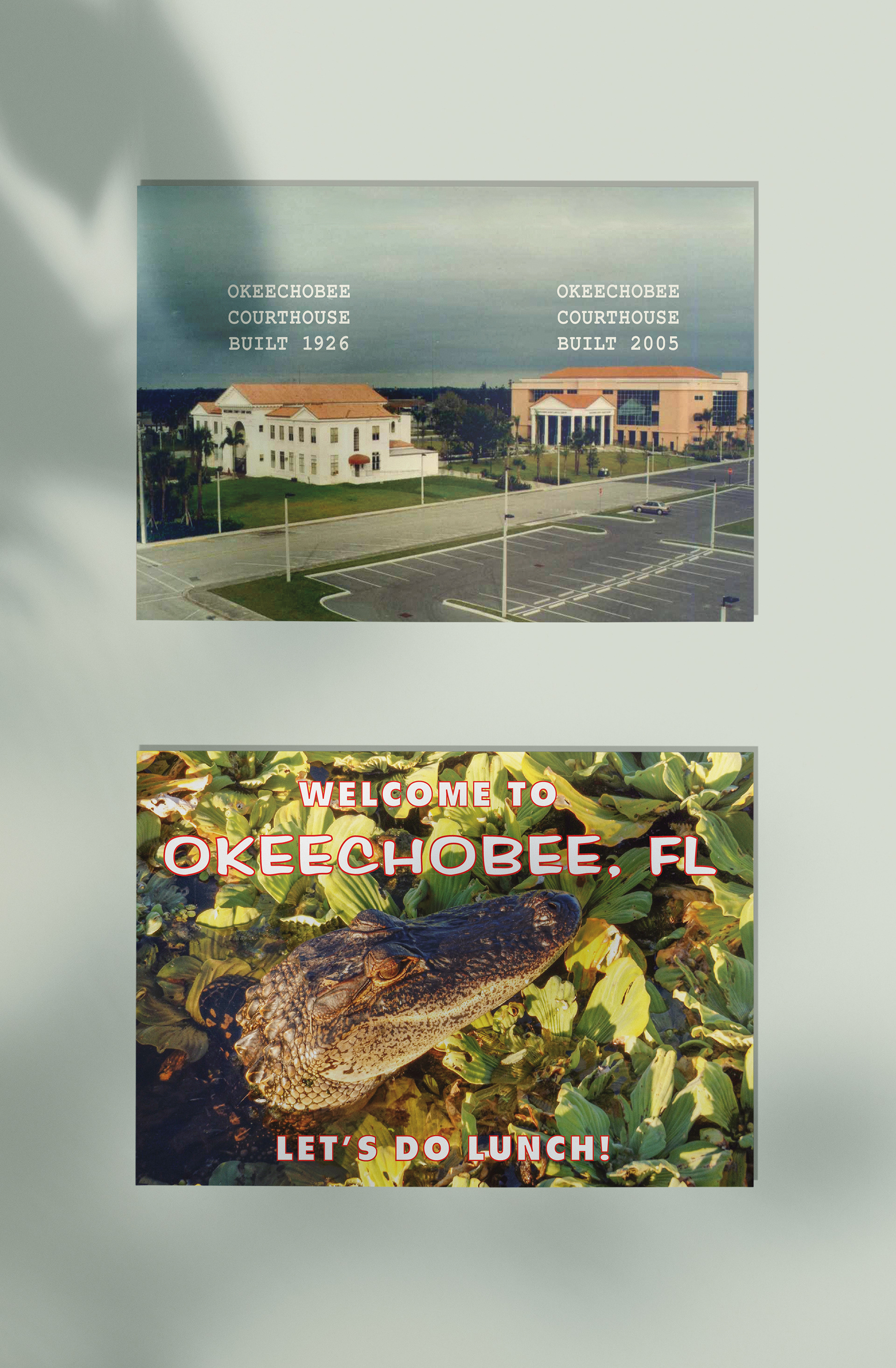 Two postcard designs with the top sharing some of Okeechobee's history, and the bottom with an image of a real gator in Lake Okeechobee