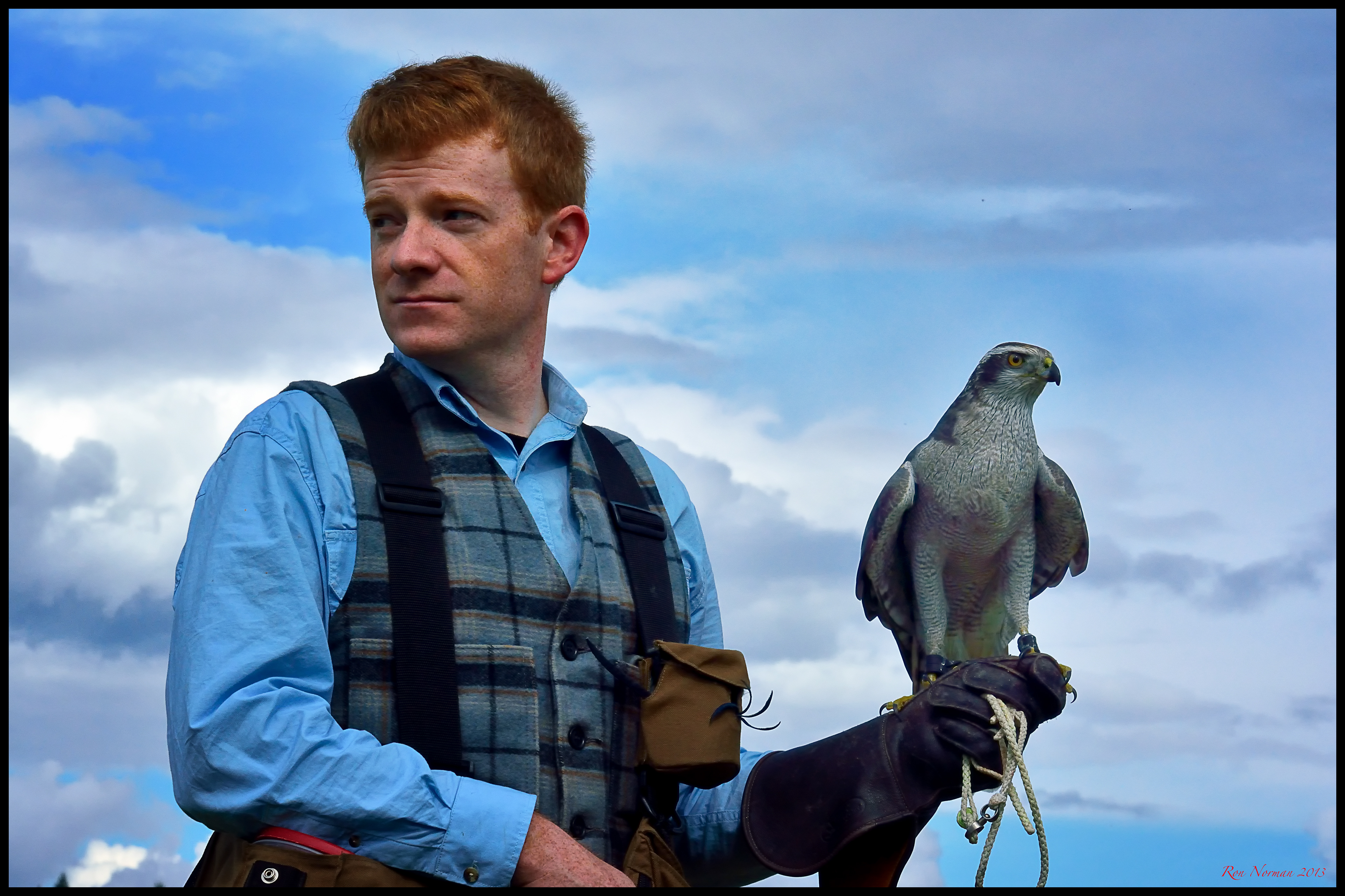 AARON ALRED - FALCONER