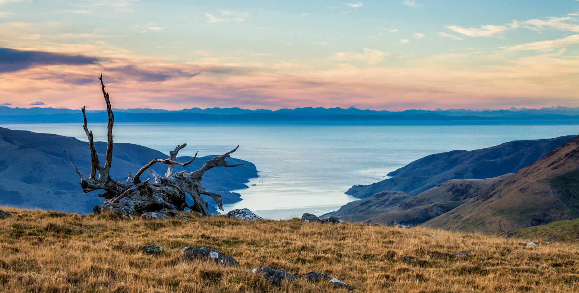 View over Port Levy from the Te Ara Pātaka track