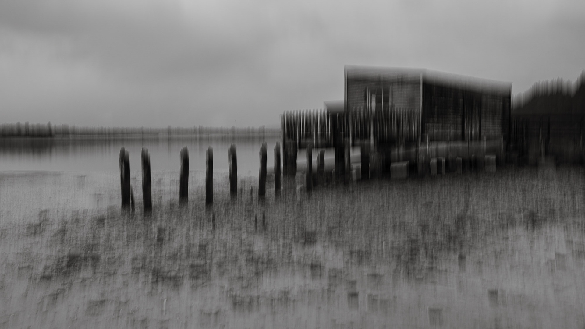 The boat shed