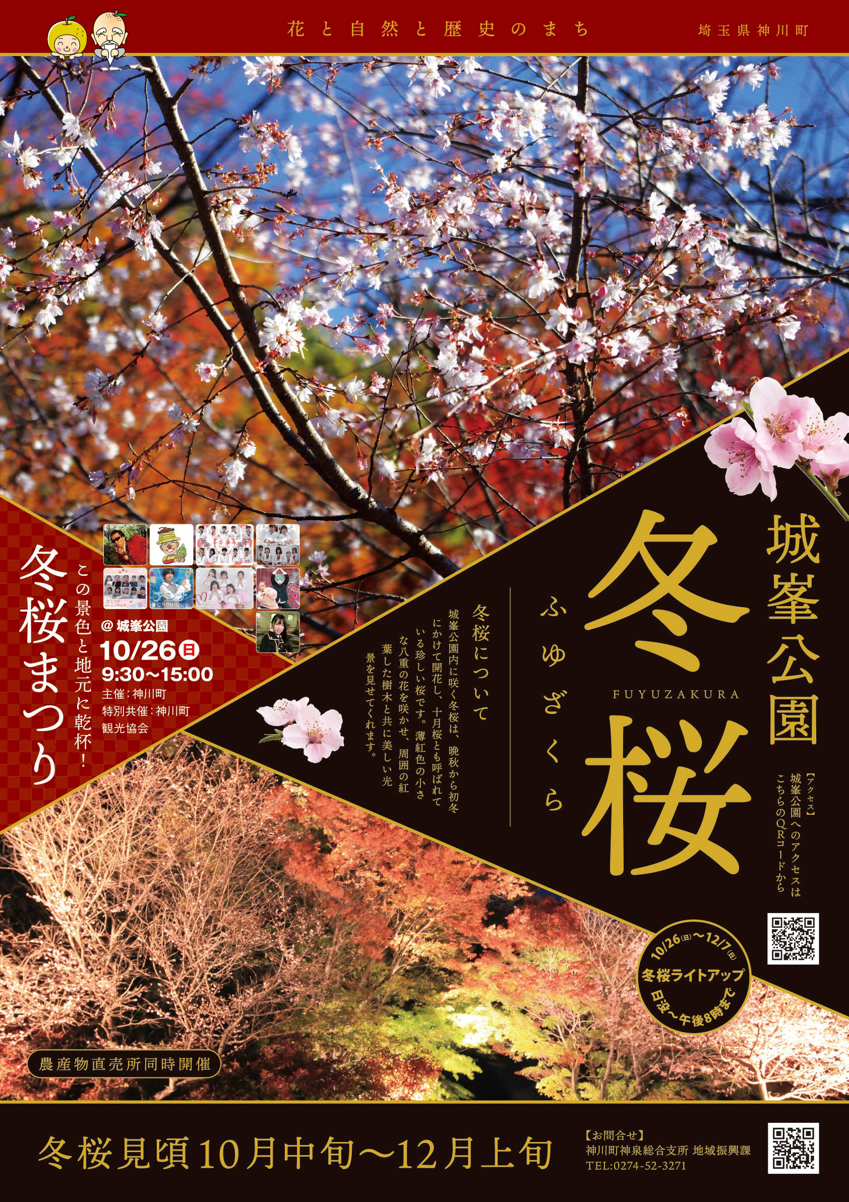 神川町 冬桜2025 A1