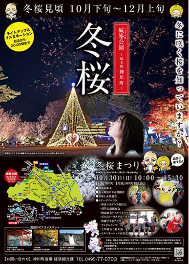 #Poster | 冬桜A2(神川町)