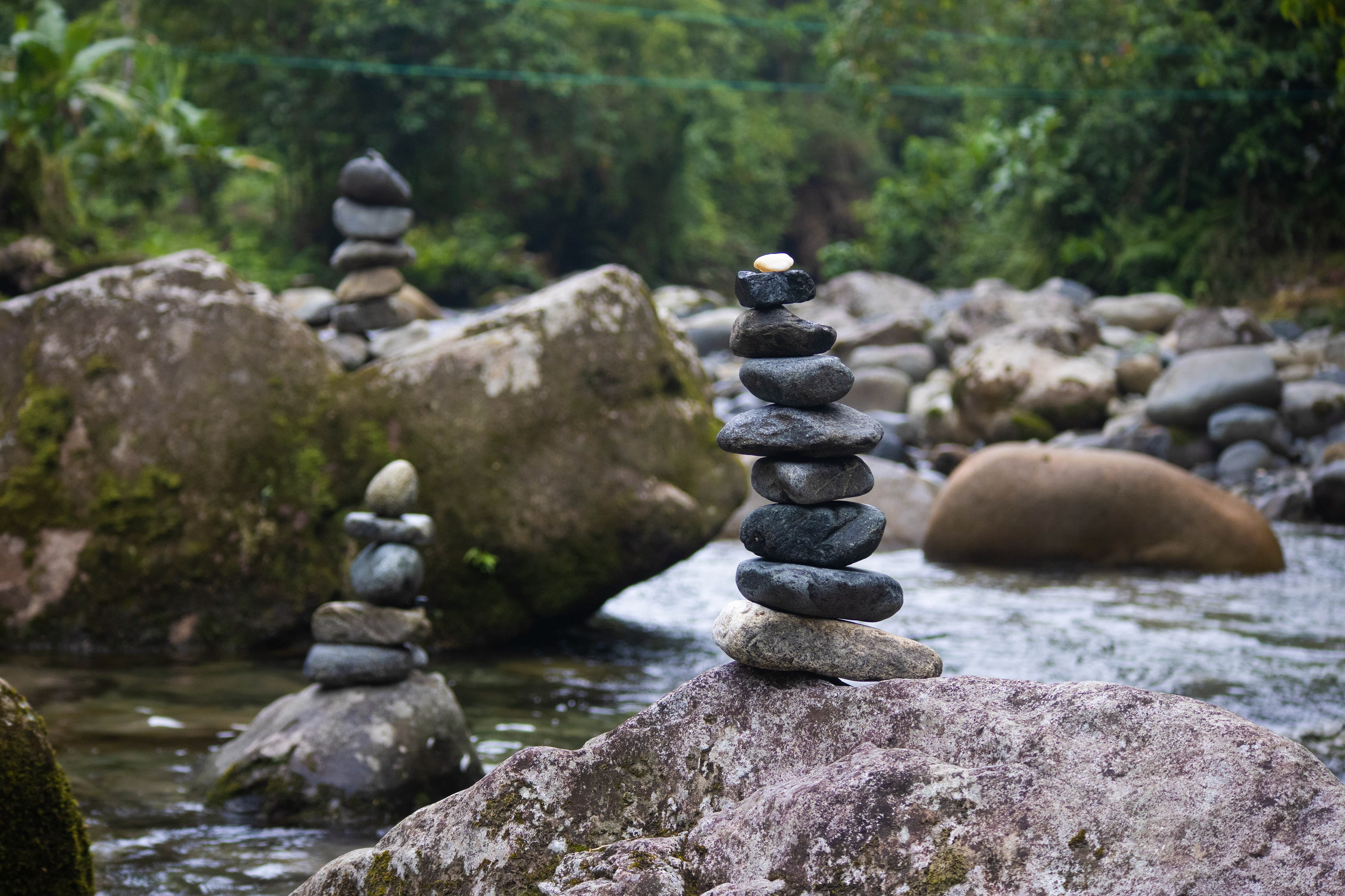 Zen Amazónico
