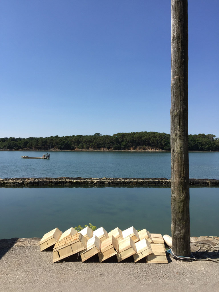 Lines - Arradon August 2016